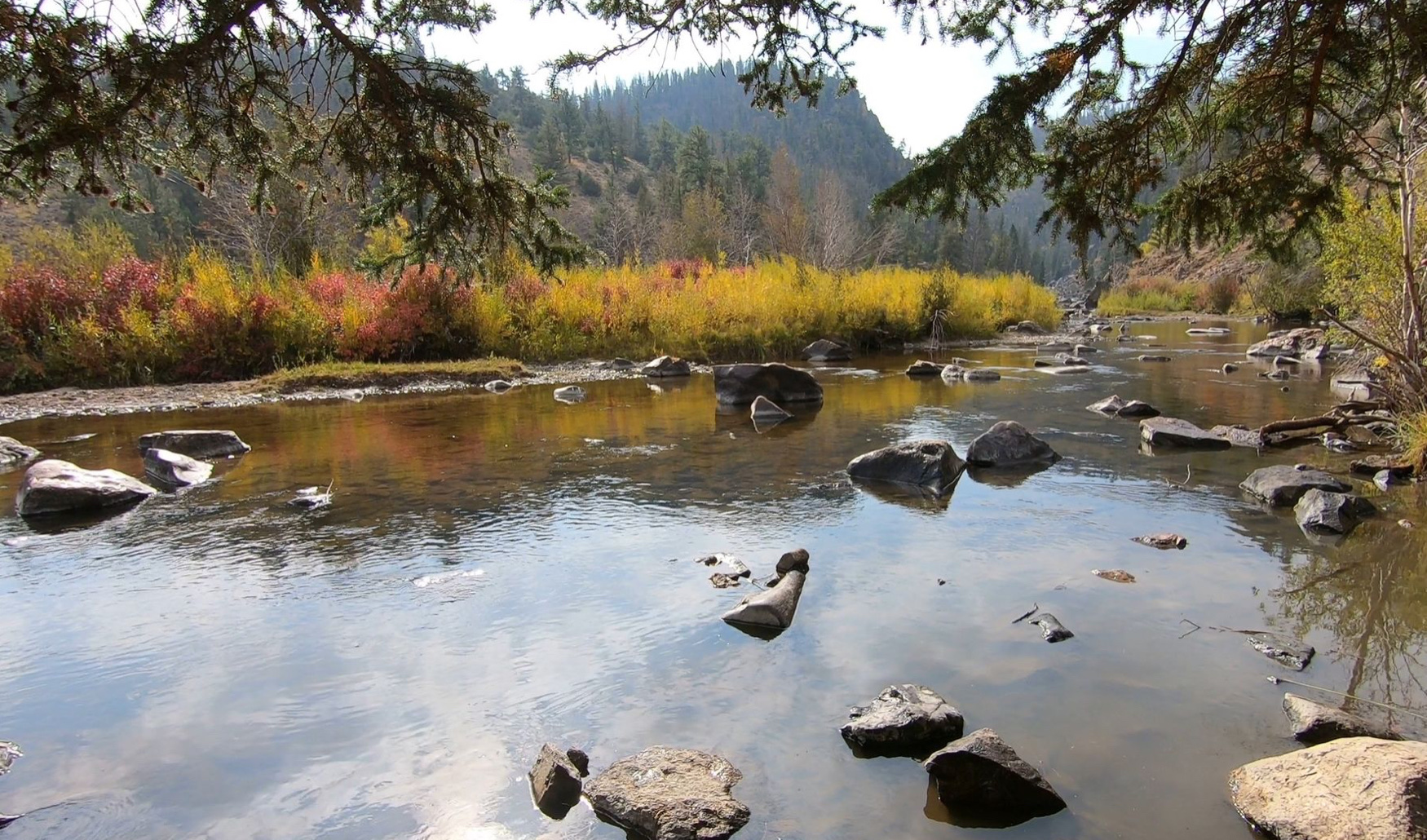 Six Mile Campground (Wy)