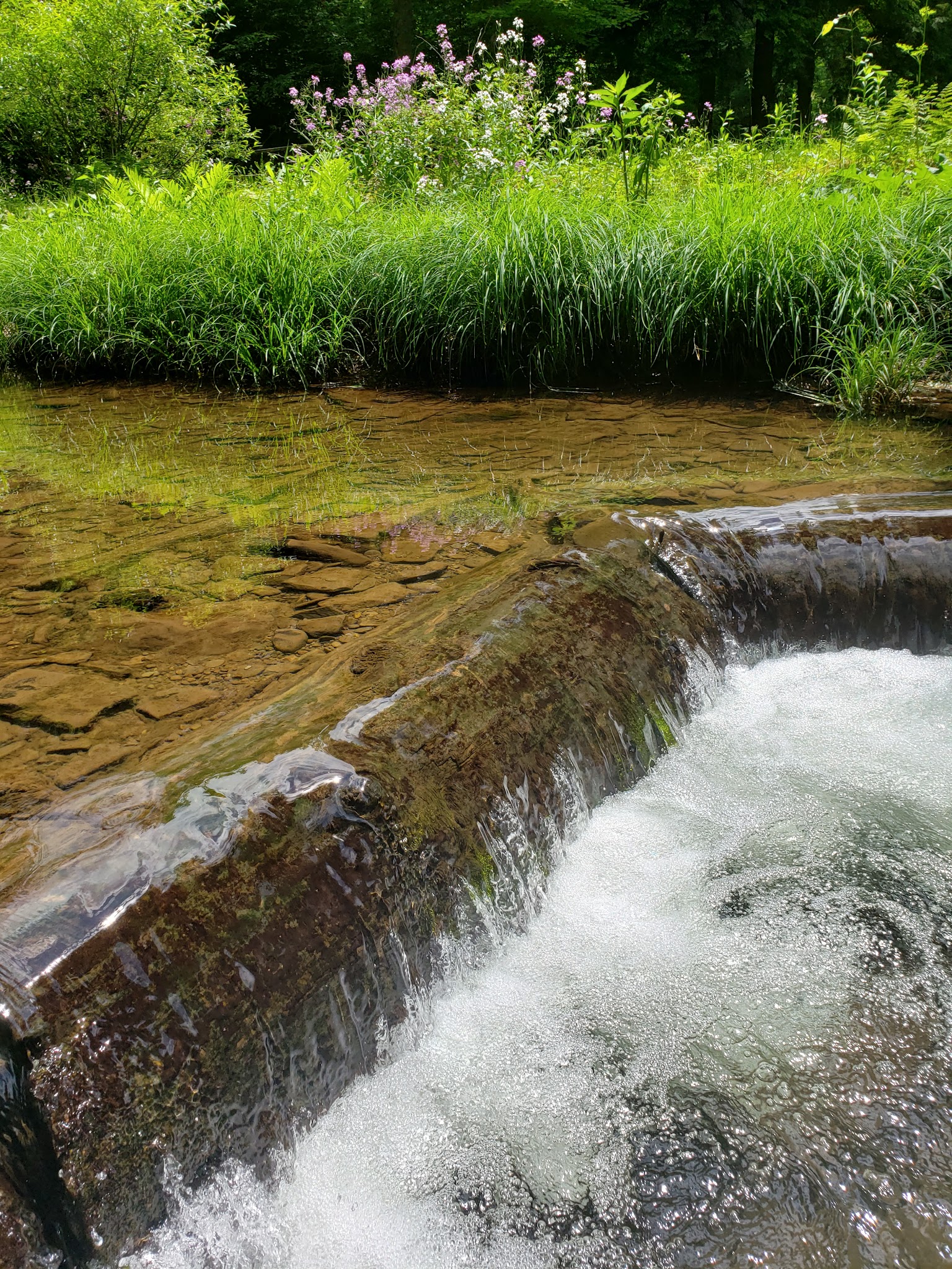 Sizerville State Park