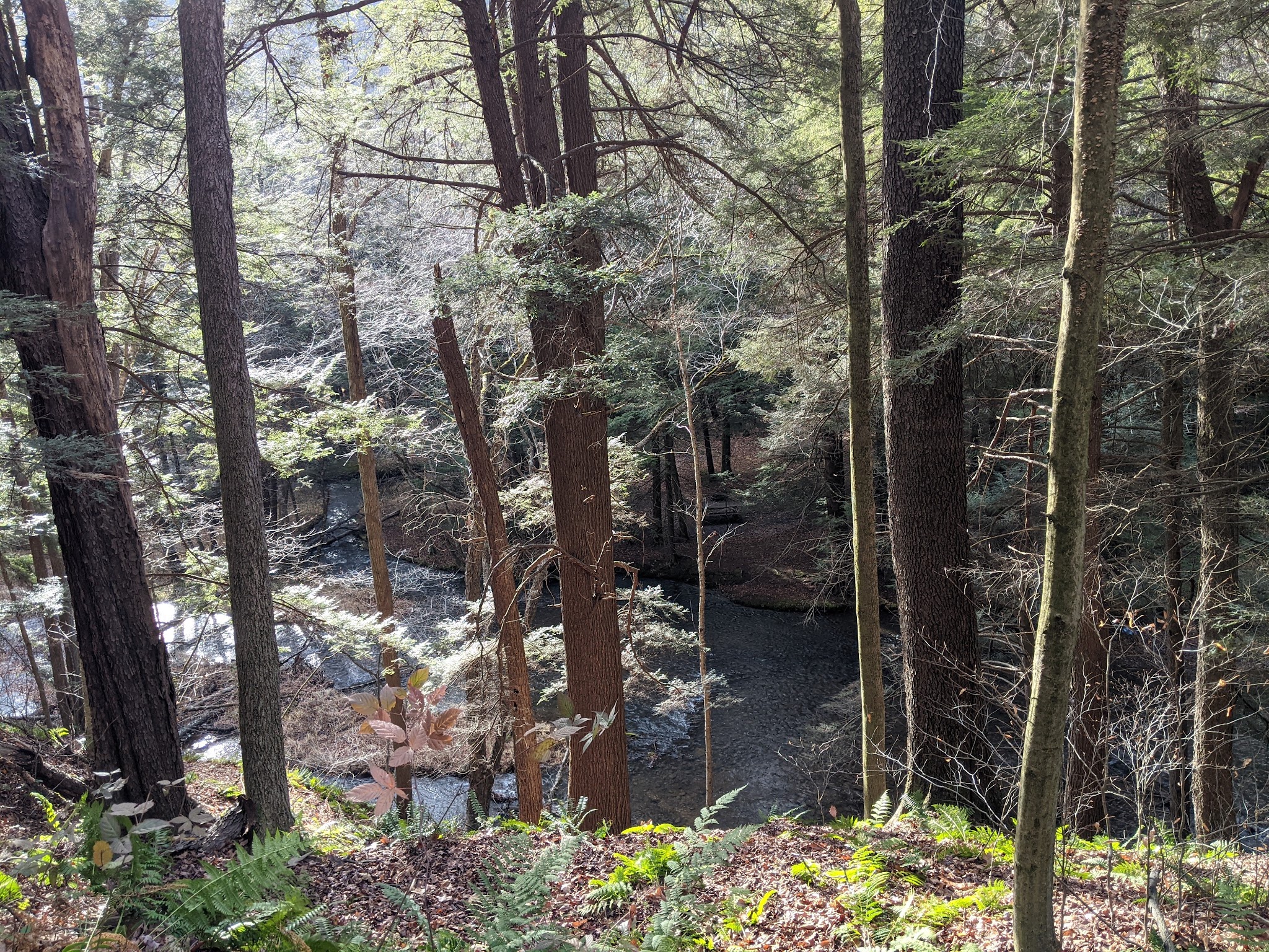 Sizerville State Park