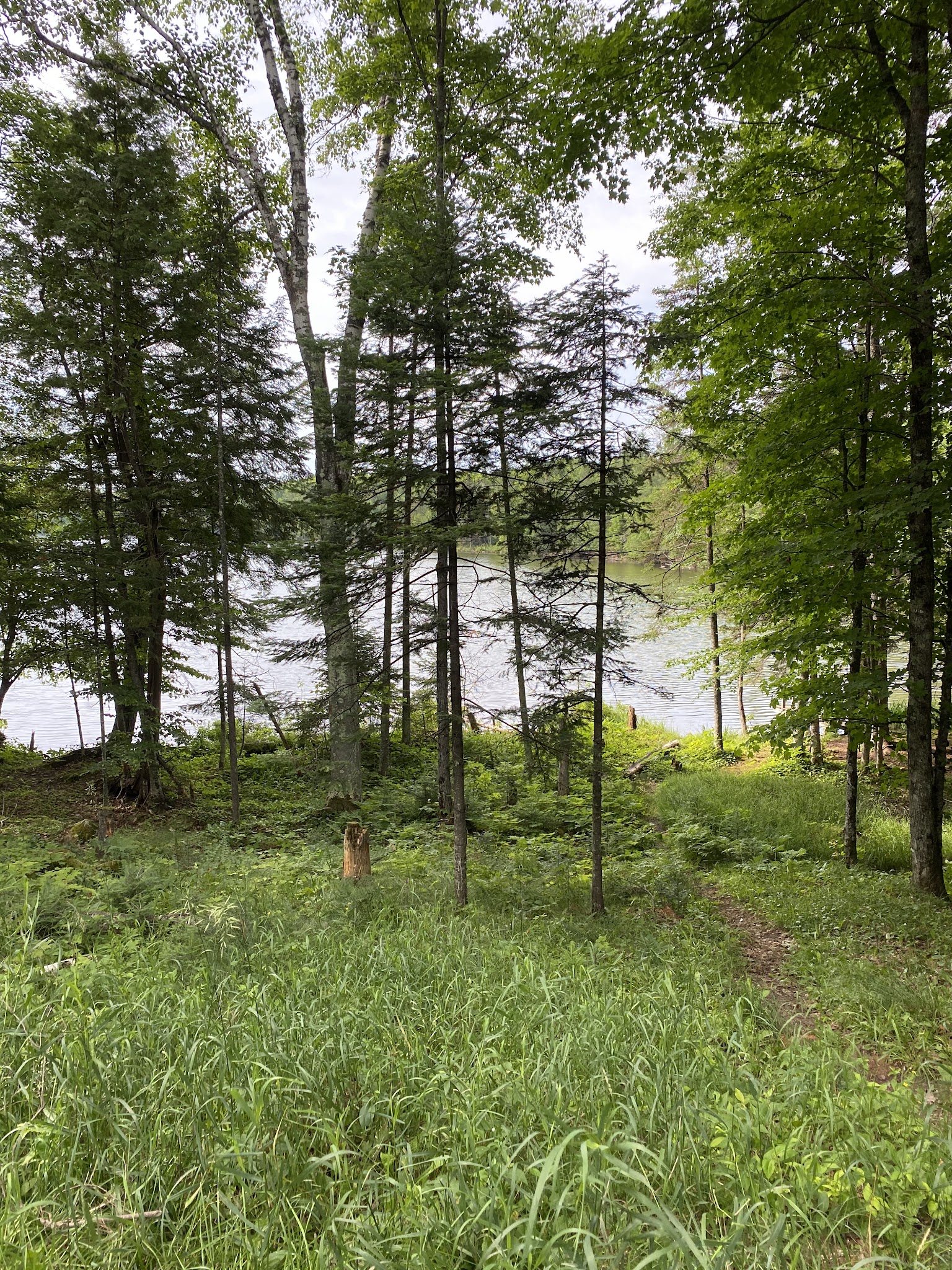 Ski-Kwe Zaag’Igan State Forest Campground