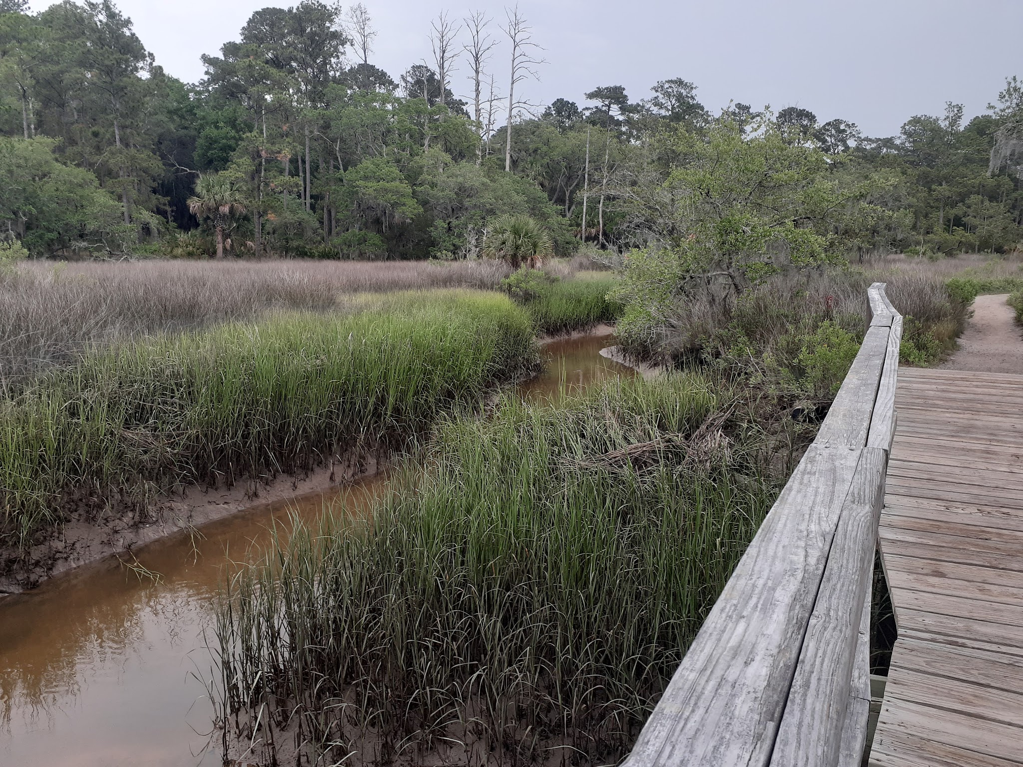 Skidaway Island State Park