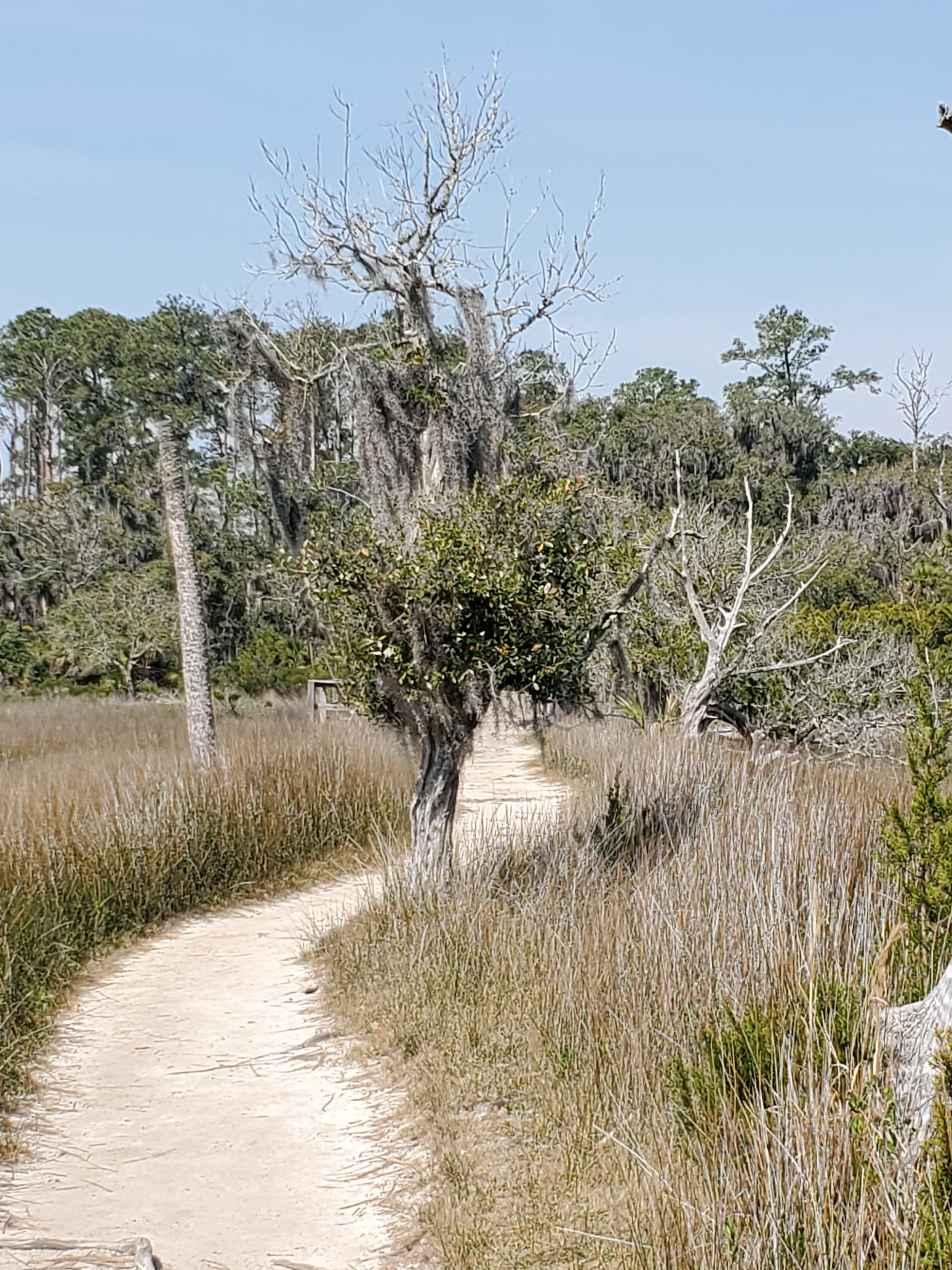 Skidaway Island State Park