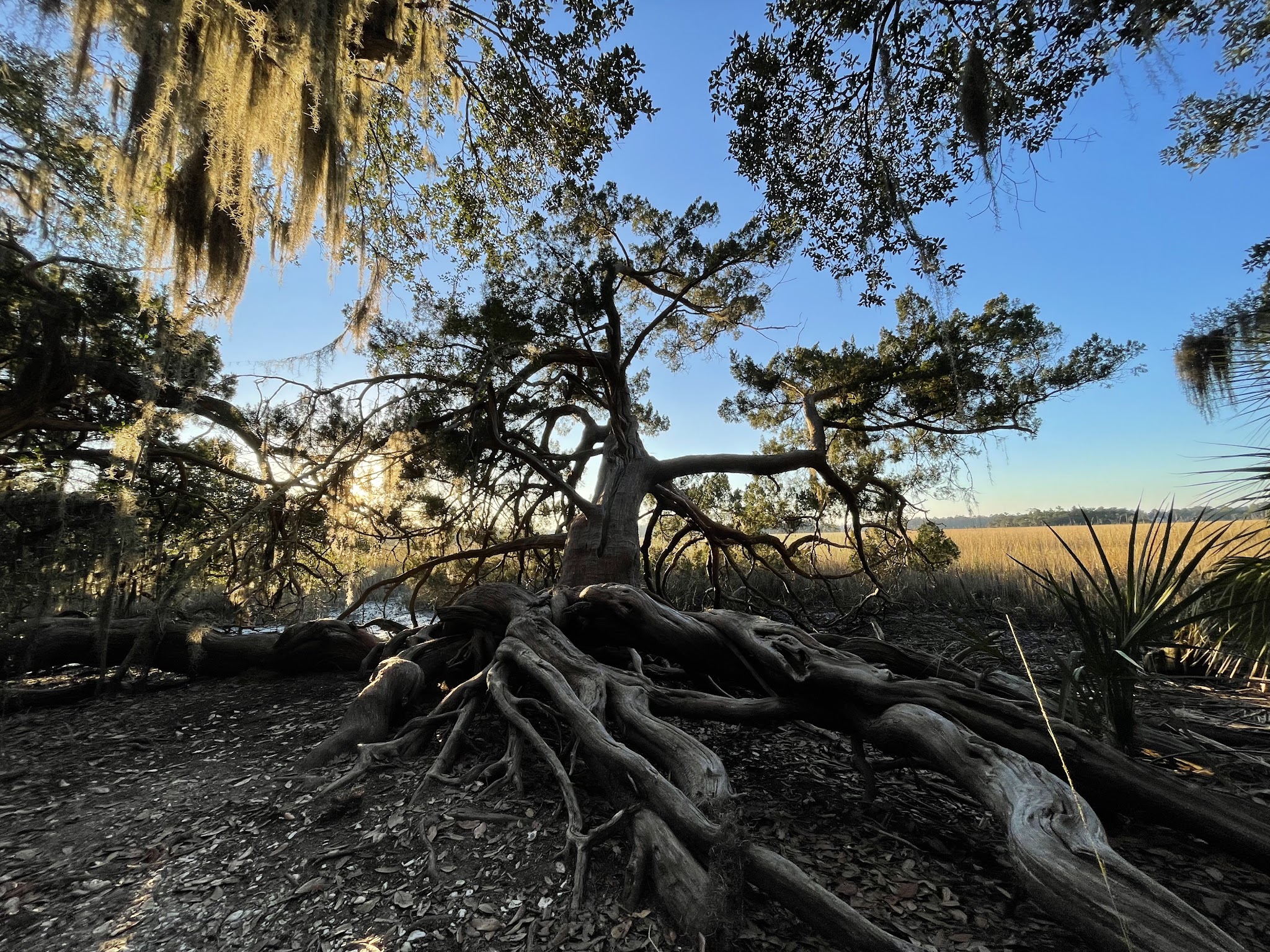 Skidaway Island State Park