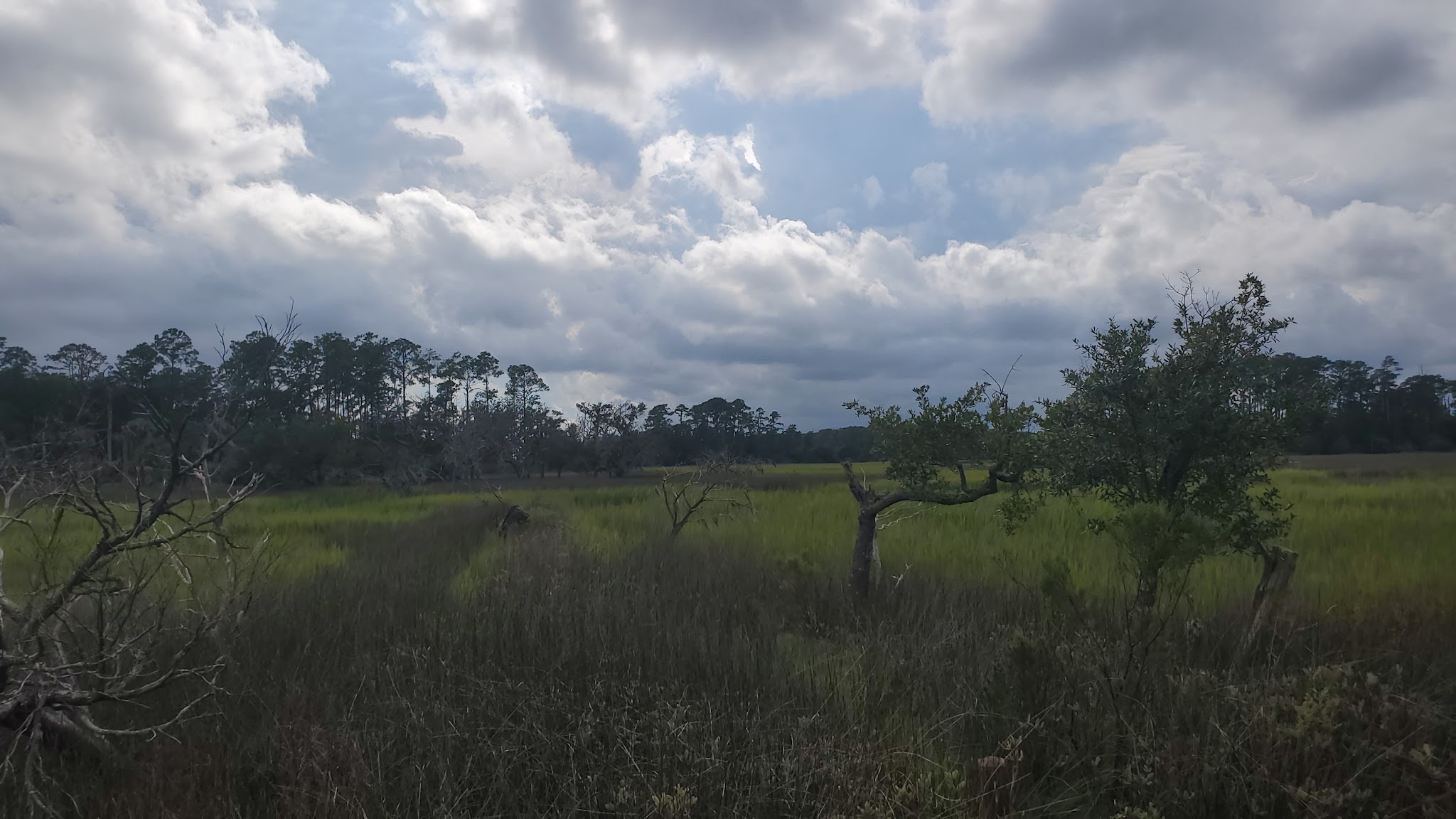 Skidaway Island State Park