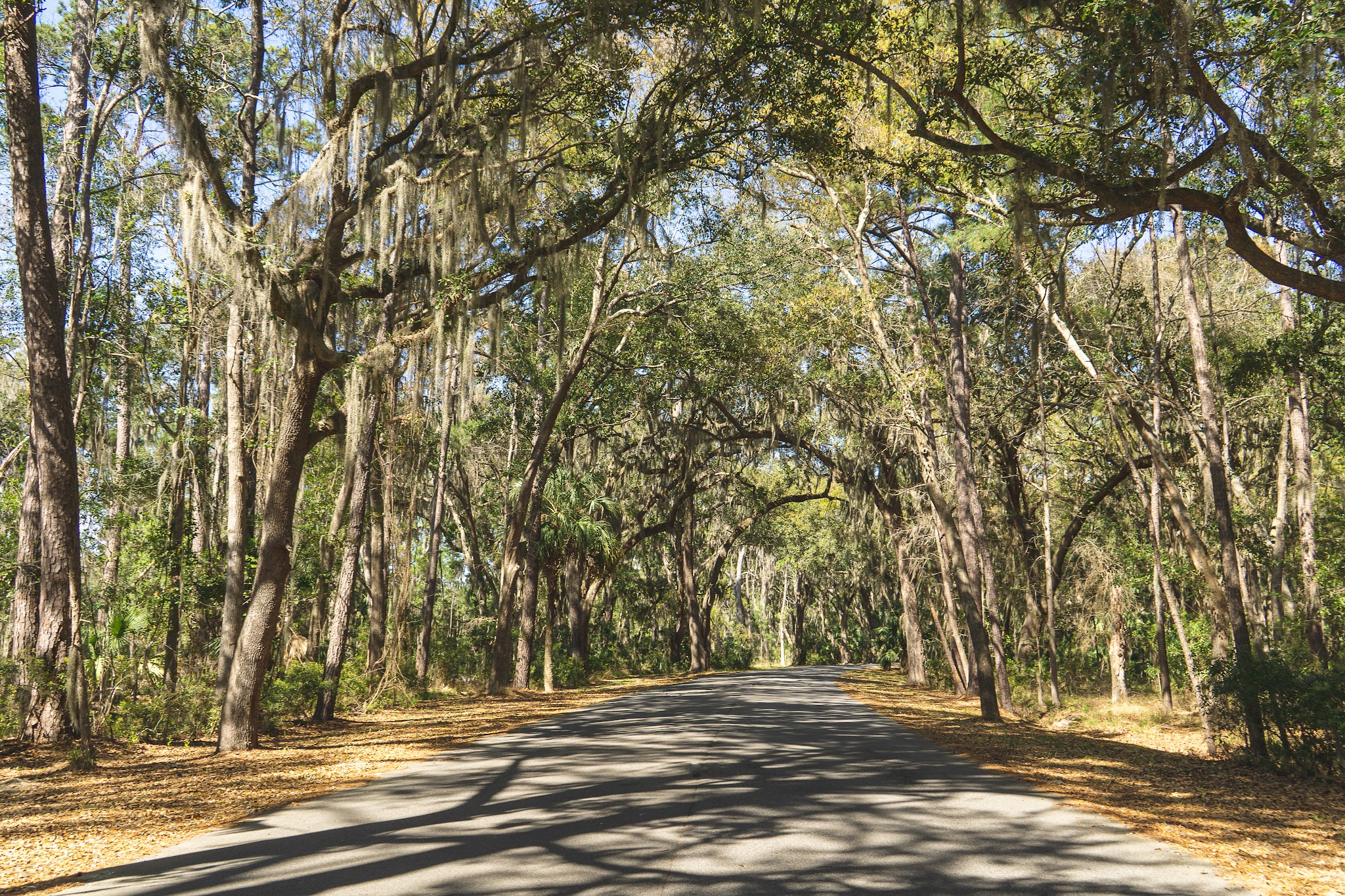 Skidaway Island State Park