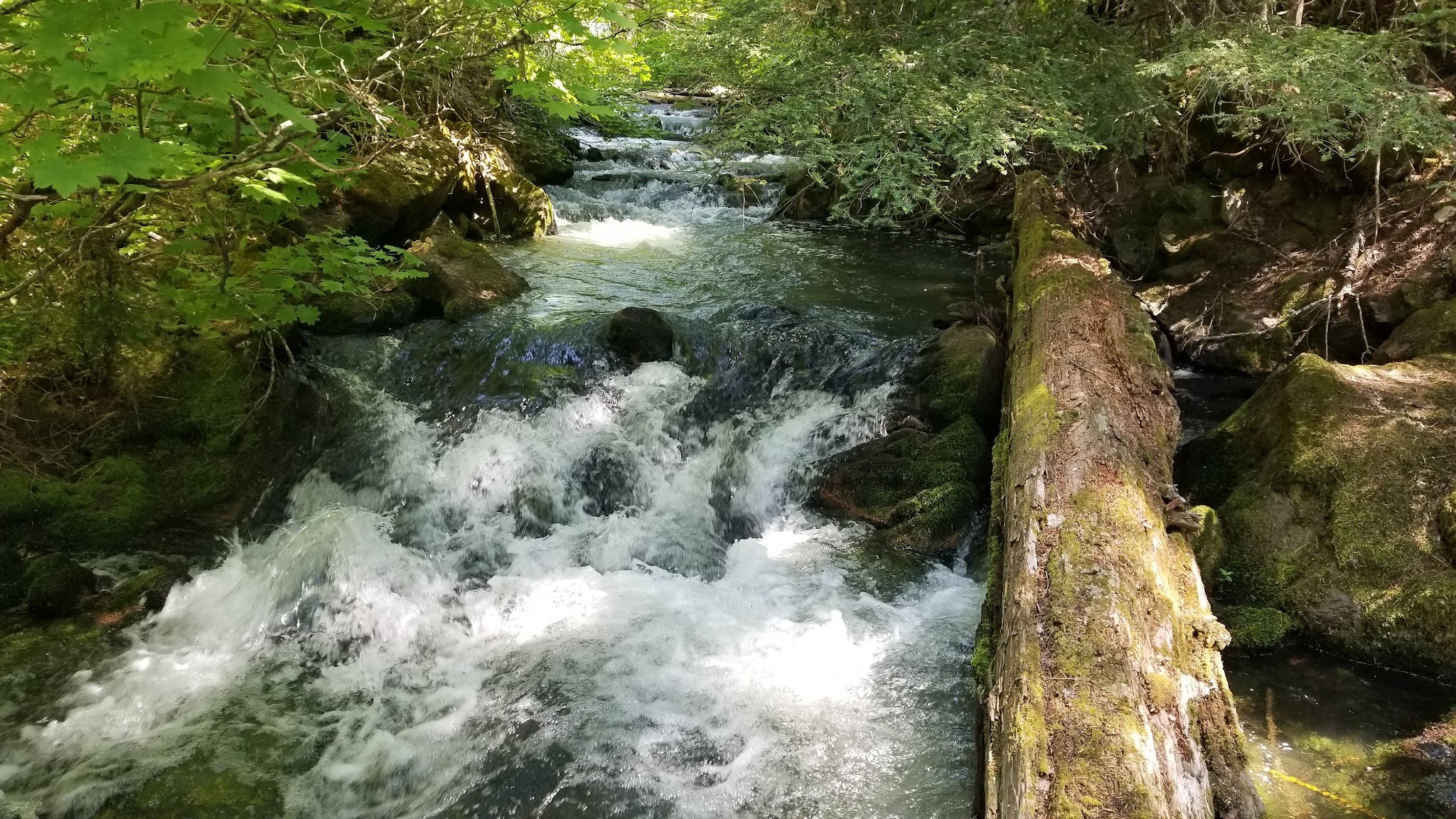 Skookum Creek Campground