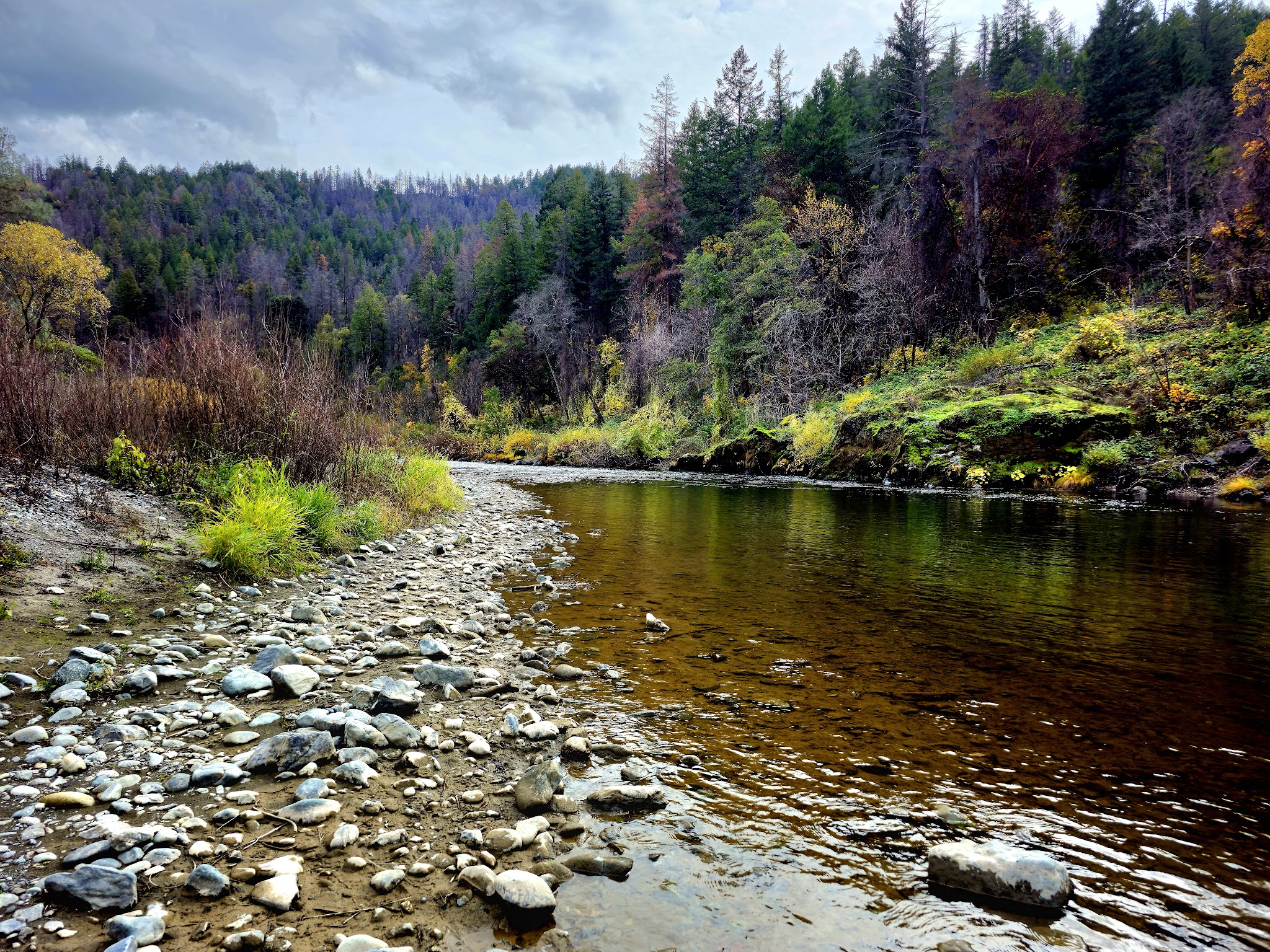 Skunk Point Group Campground
