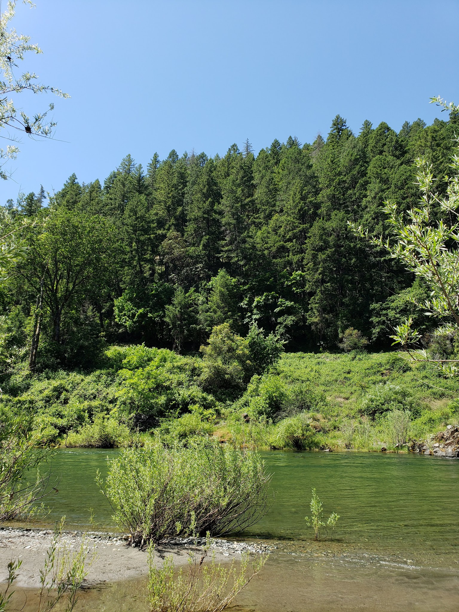 Skunk Point Group Campground