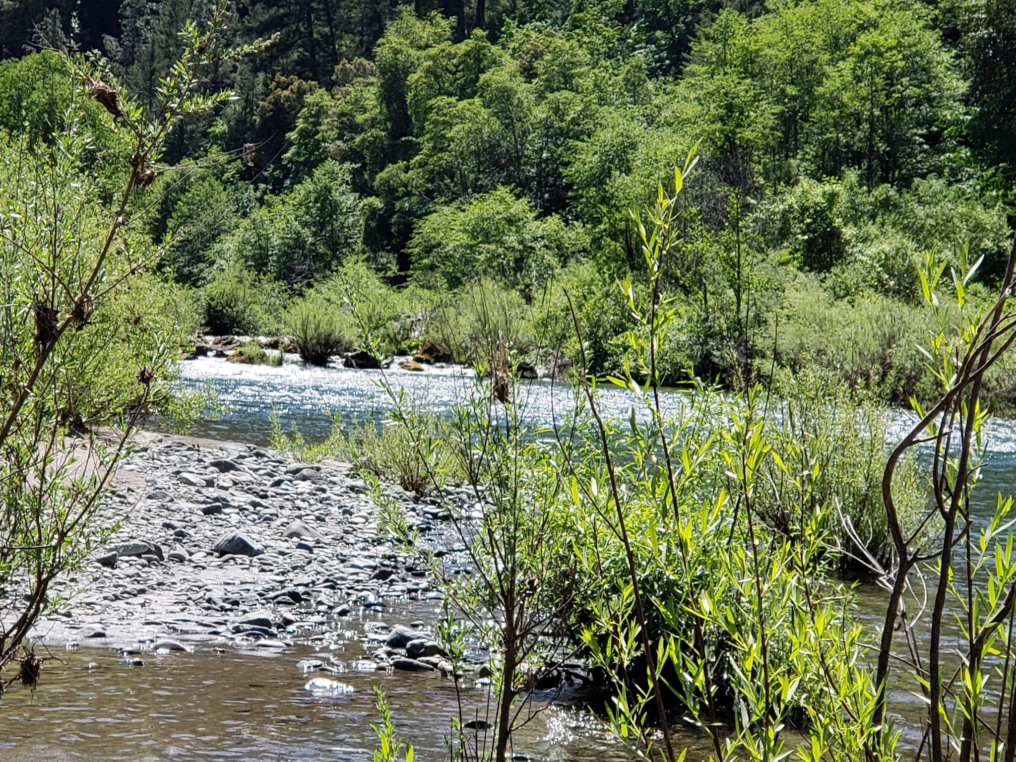 Skunk Point Group Campground