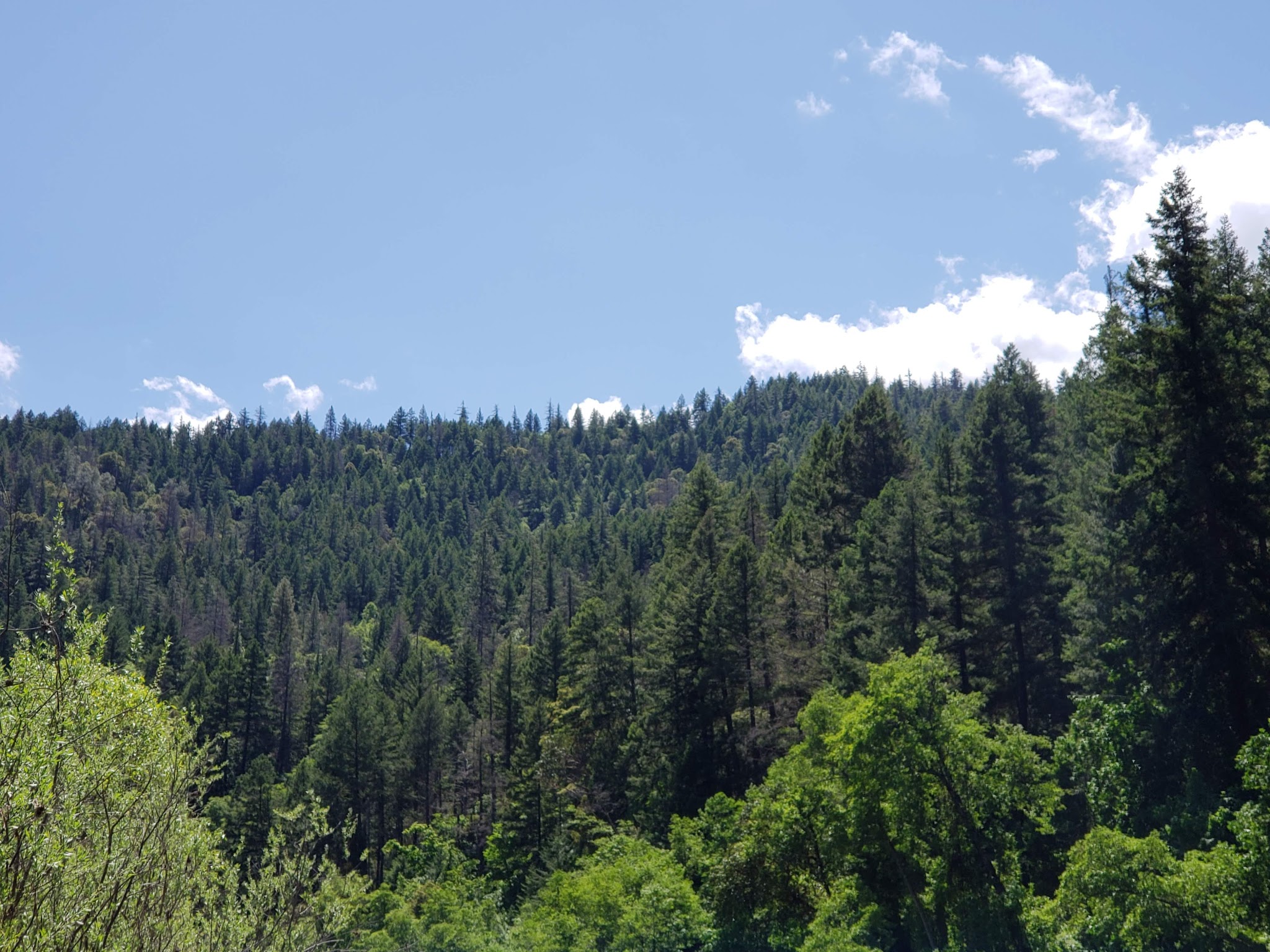 Skunk Point Group Campground