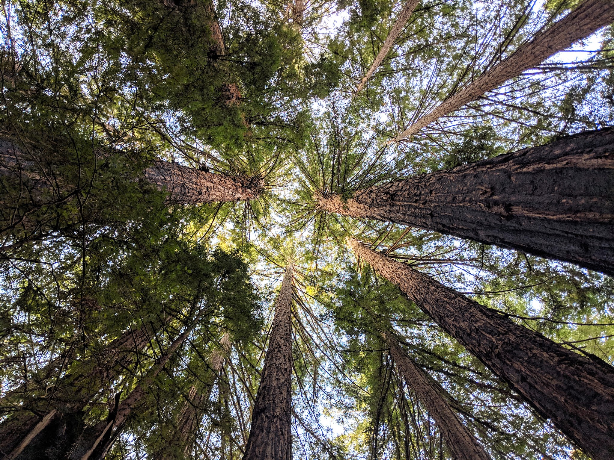 Sky Meadow Group 1 & 2 Campground