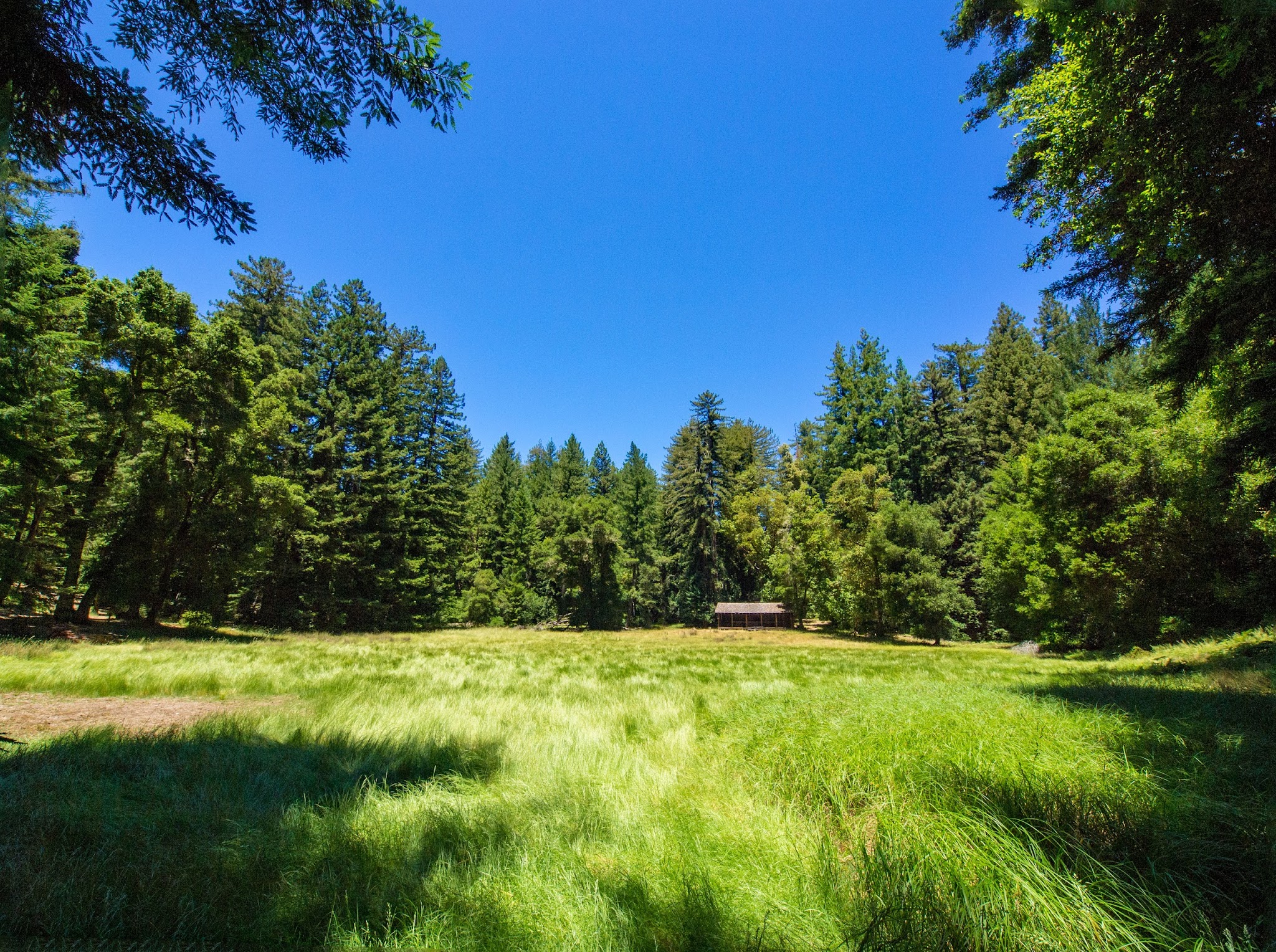 Sky Meadow Group 1 & 2 Campground