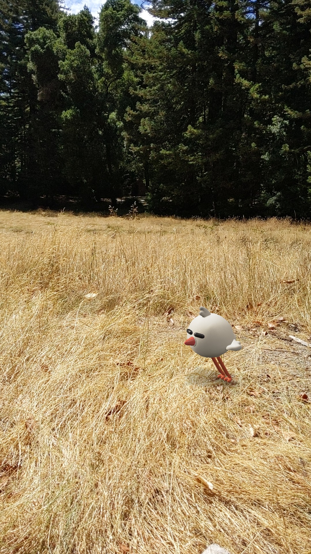 Sky Meadow Group 1 & 2 Campground