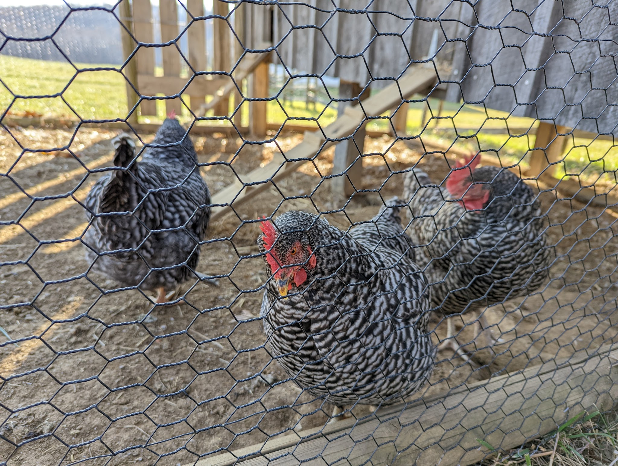 Backcountry Hike-In Campground