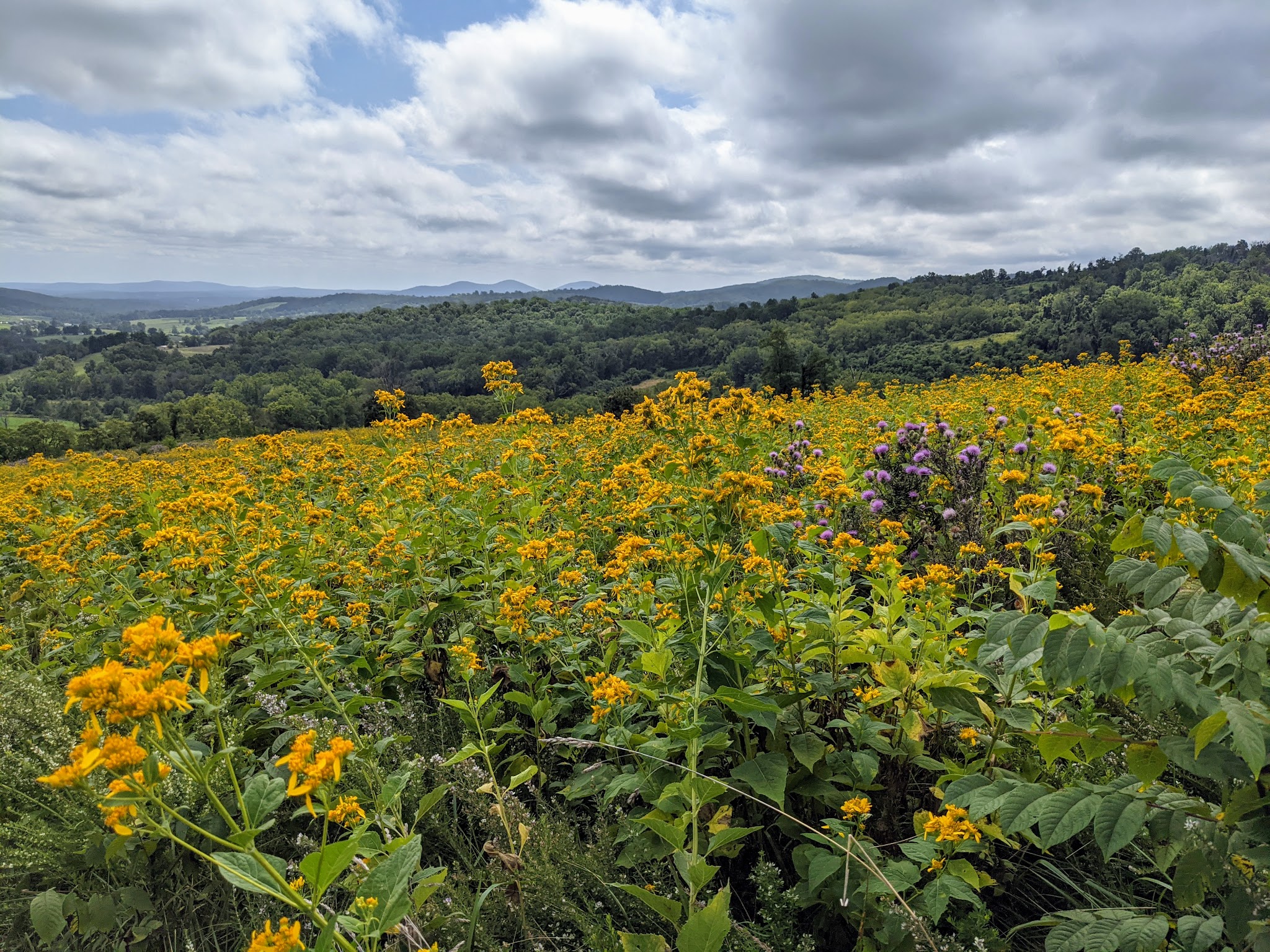Backcountry Hike-In Campground