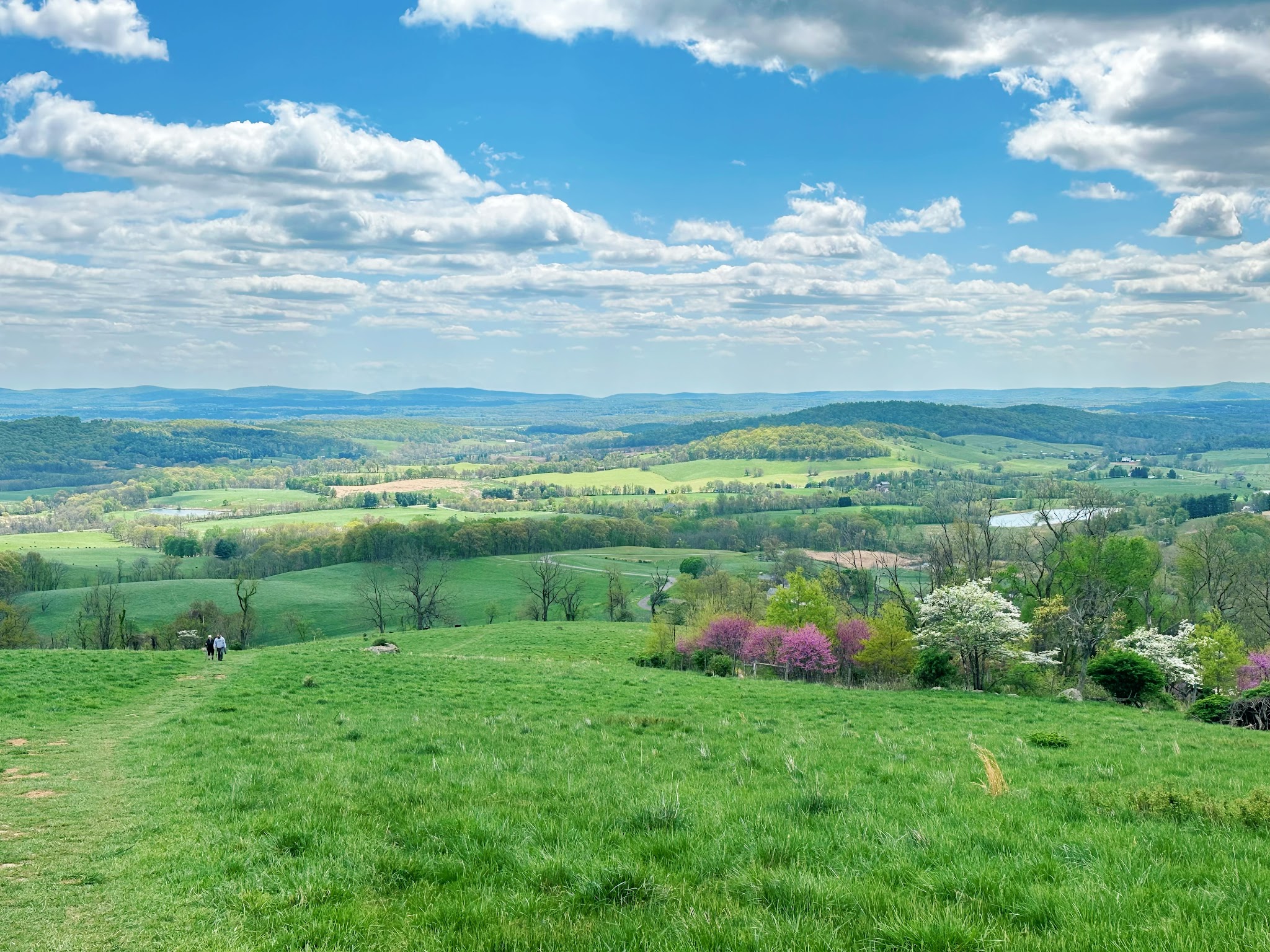 Backcountry Hike-In Campground