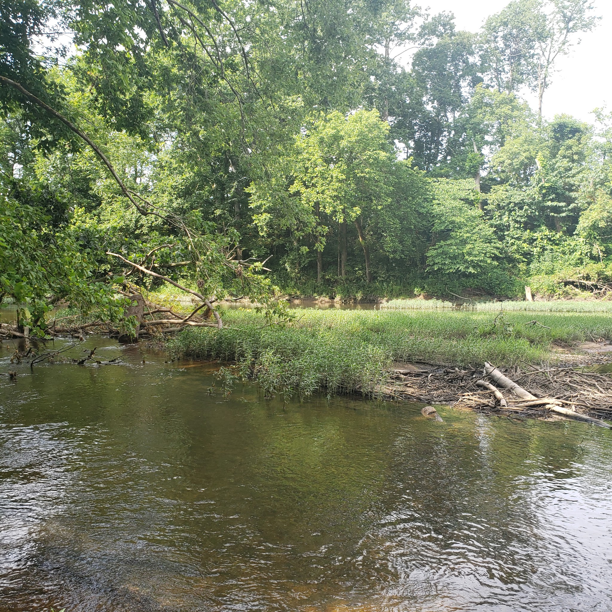 Slabtown Recreation Area