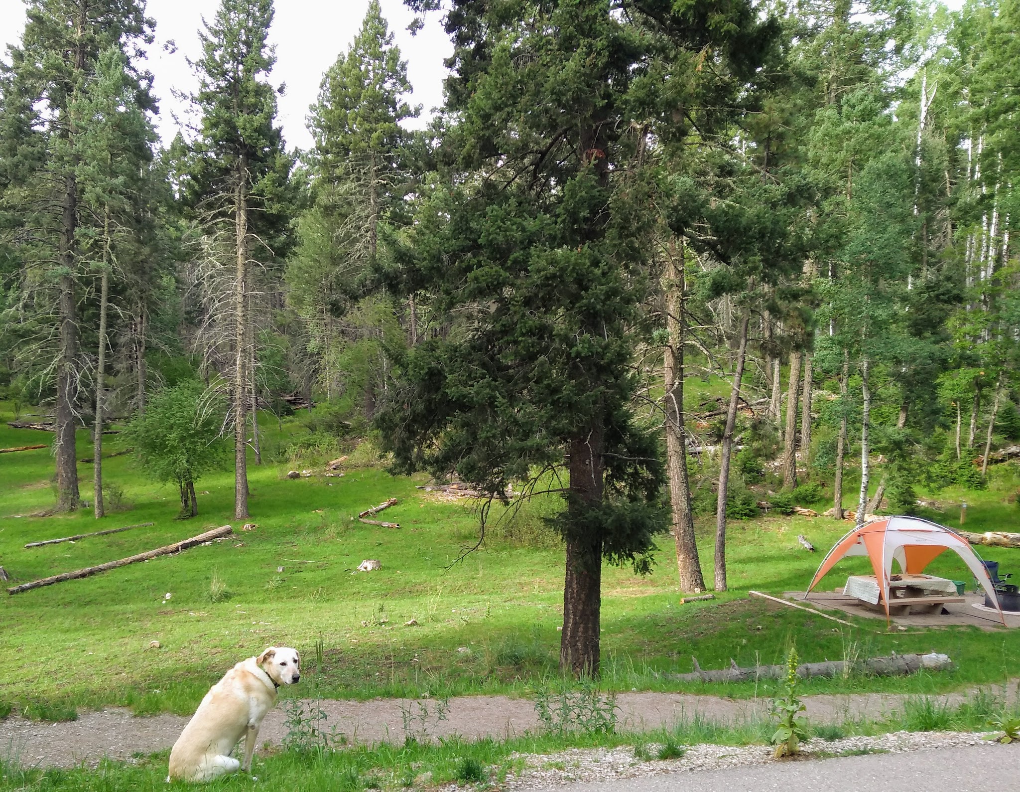 Sleepy Grass Campground
