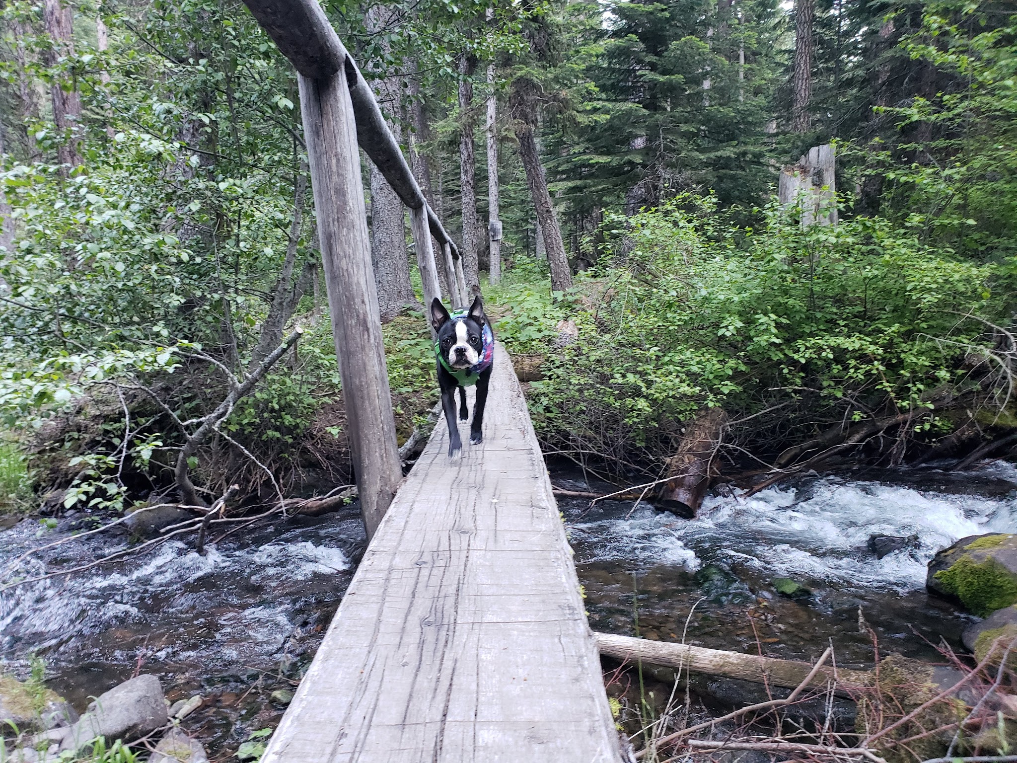 Slide Creek Campground