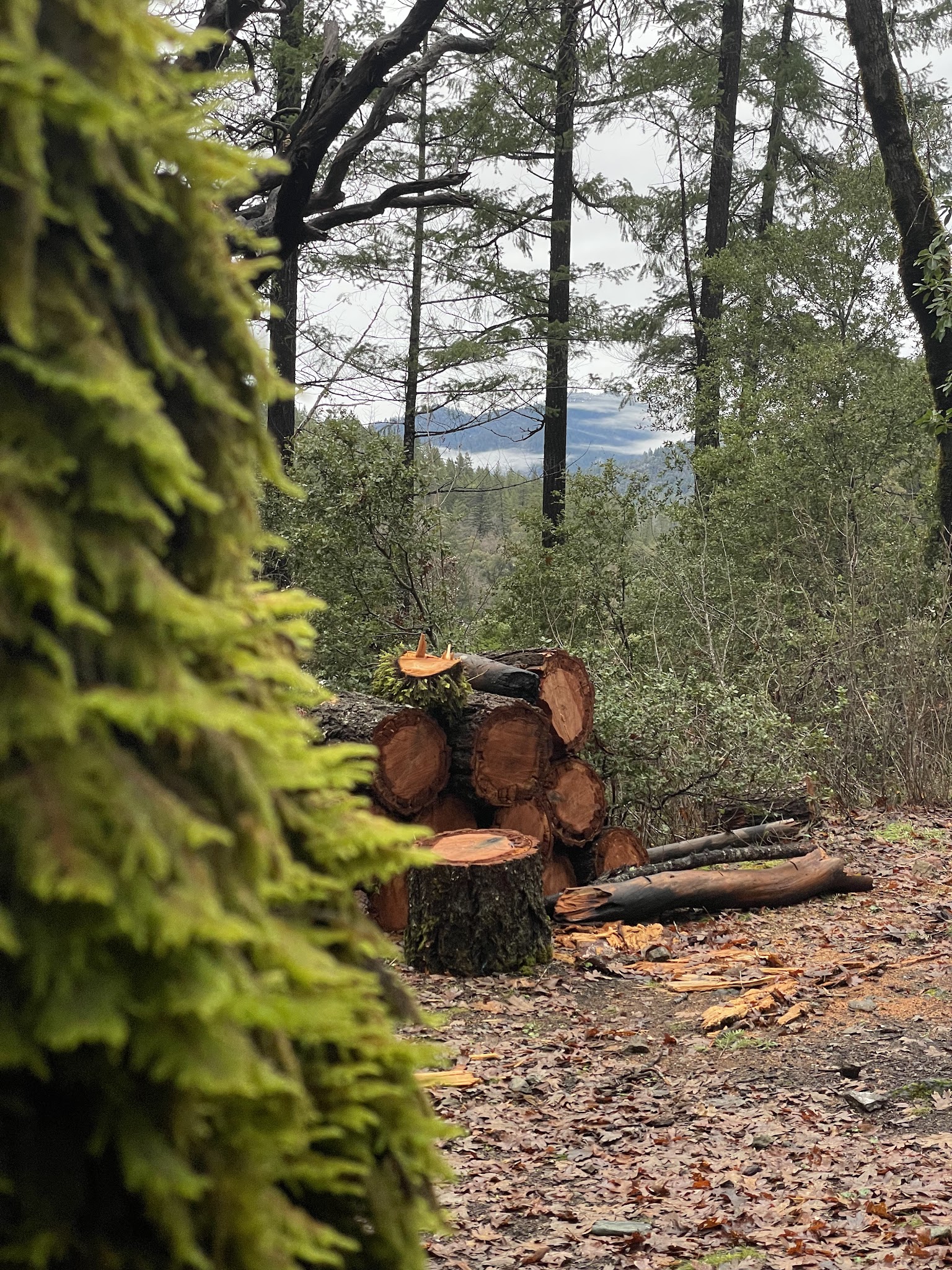 Slide Creek Campground