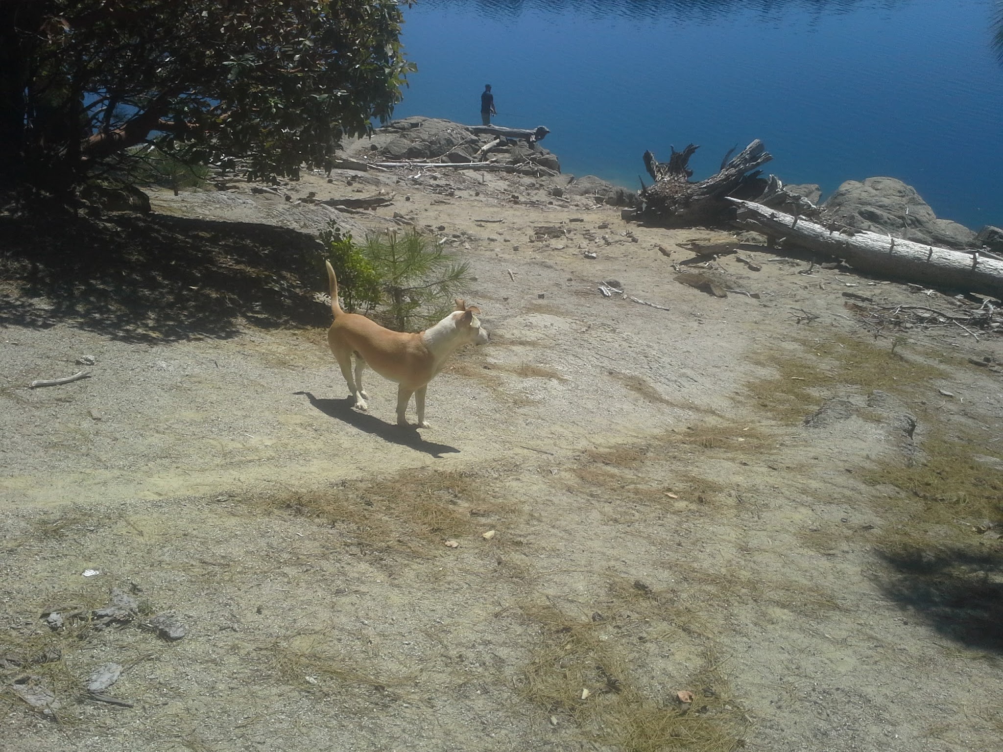 Sly Creek Campground