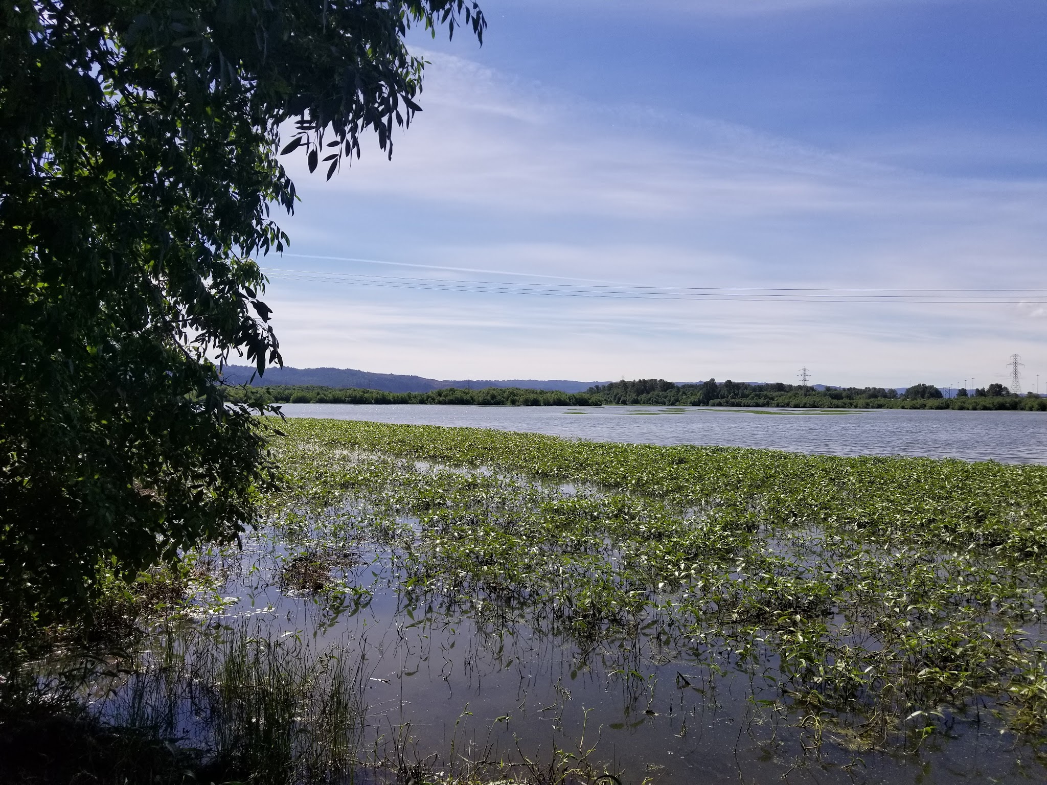 Smith And Bybee Wetlands Natural Crup Campground
