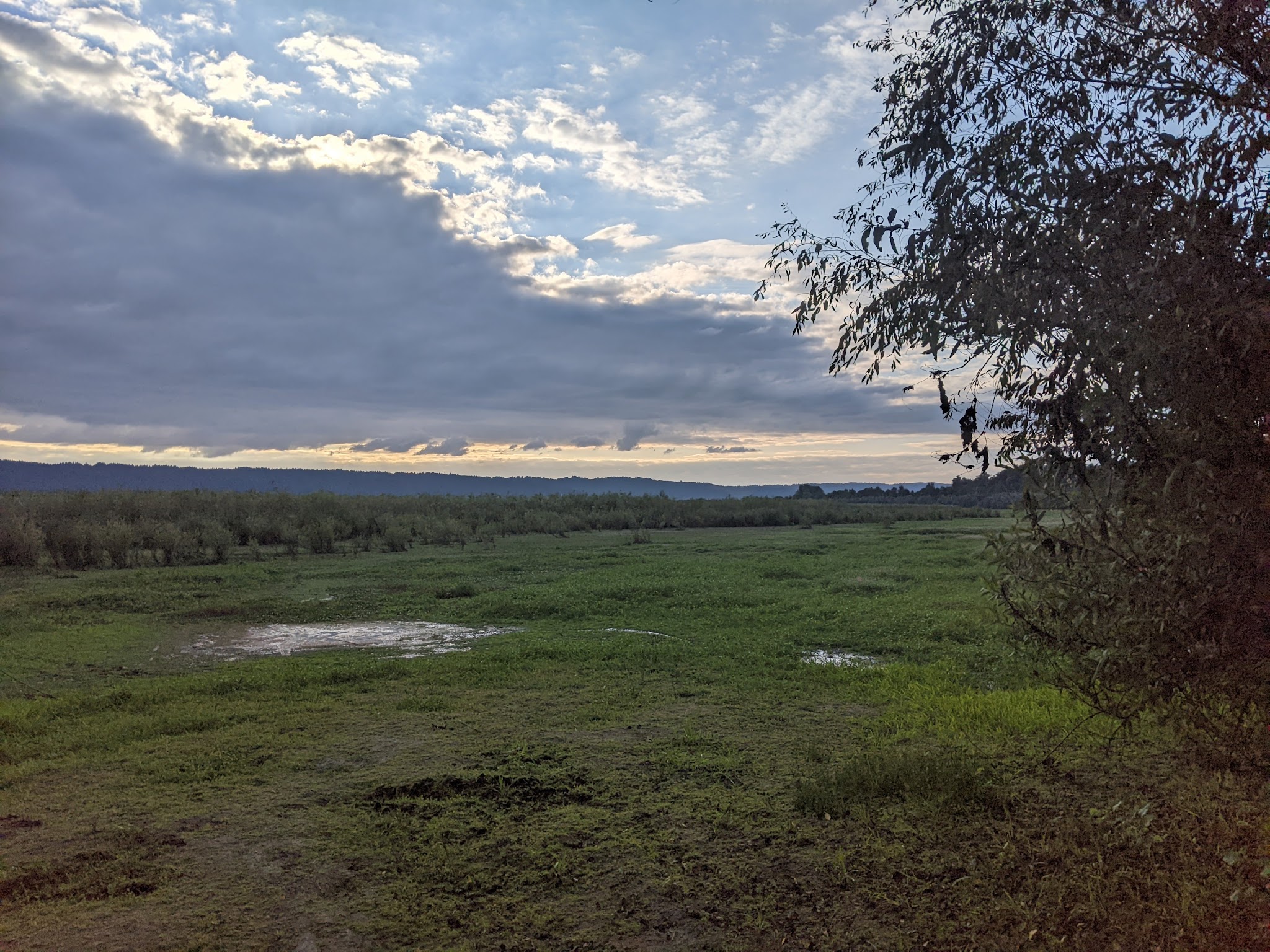 Smith And Bybee Wetlands Natural Crup Campground