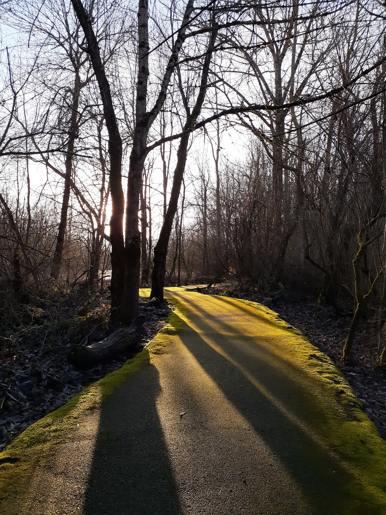 Smith And Bybee Wetlands Natural Crup Campground