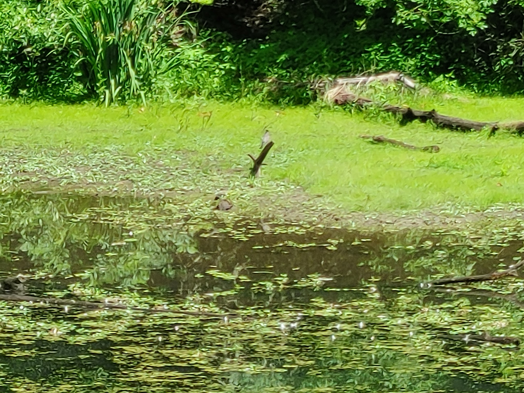 Smith And Bybee Wetlands Natural Crup Campground