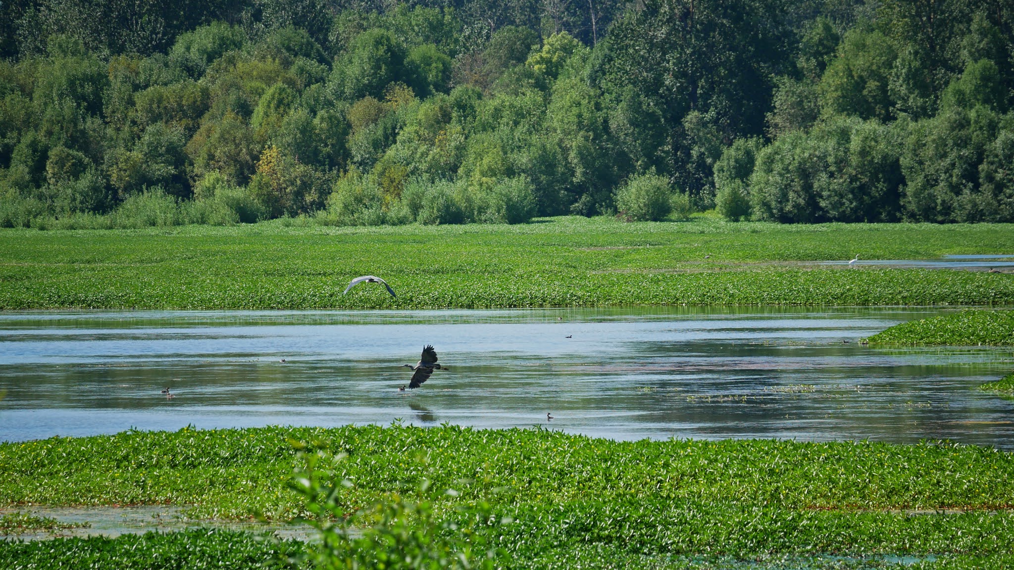 Smith And Bybee Wetlands Natural Crup Campground