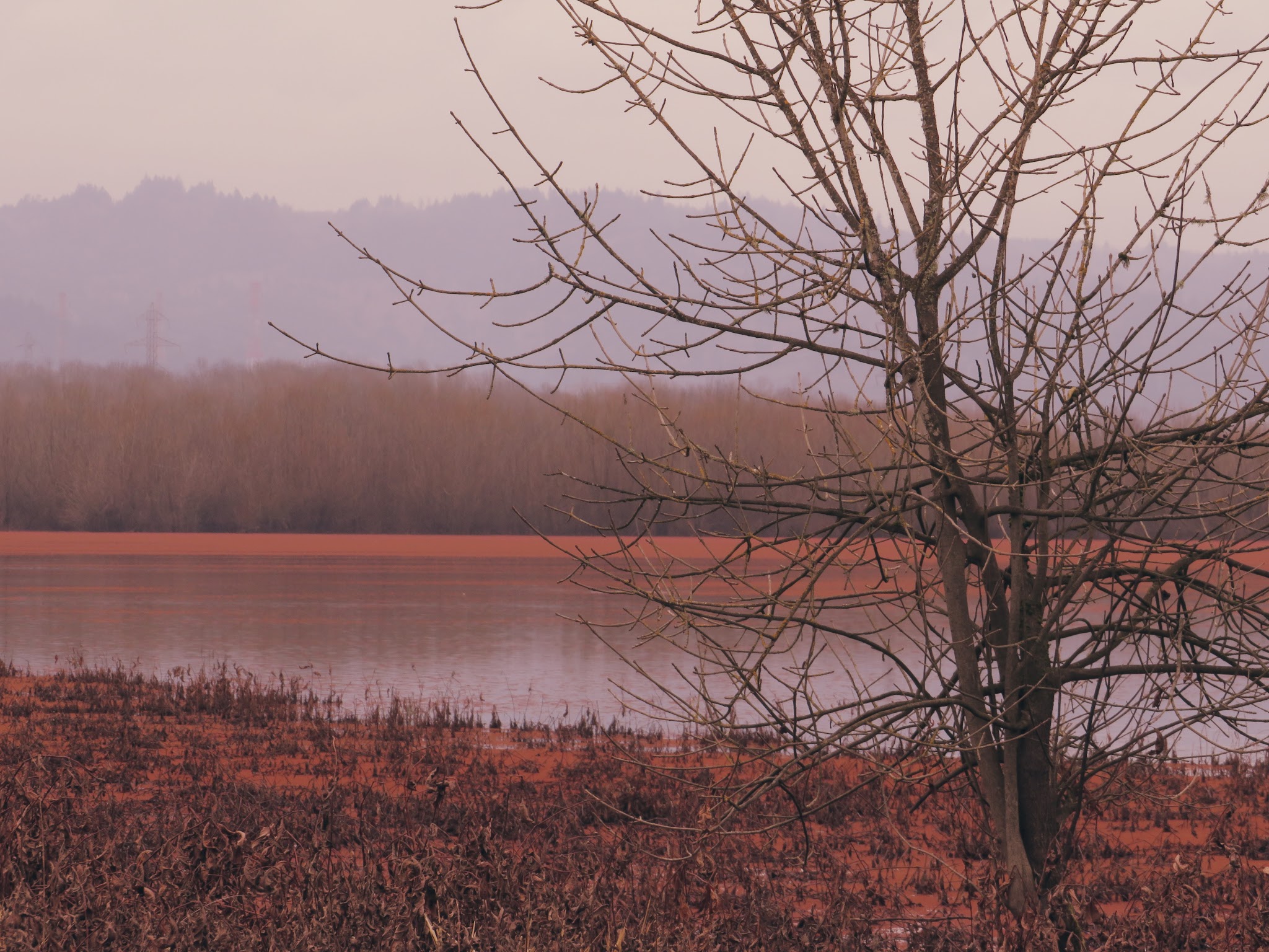 Smith And Bybee Wetlands Natural Crup Campground