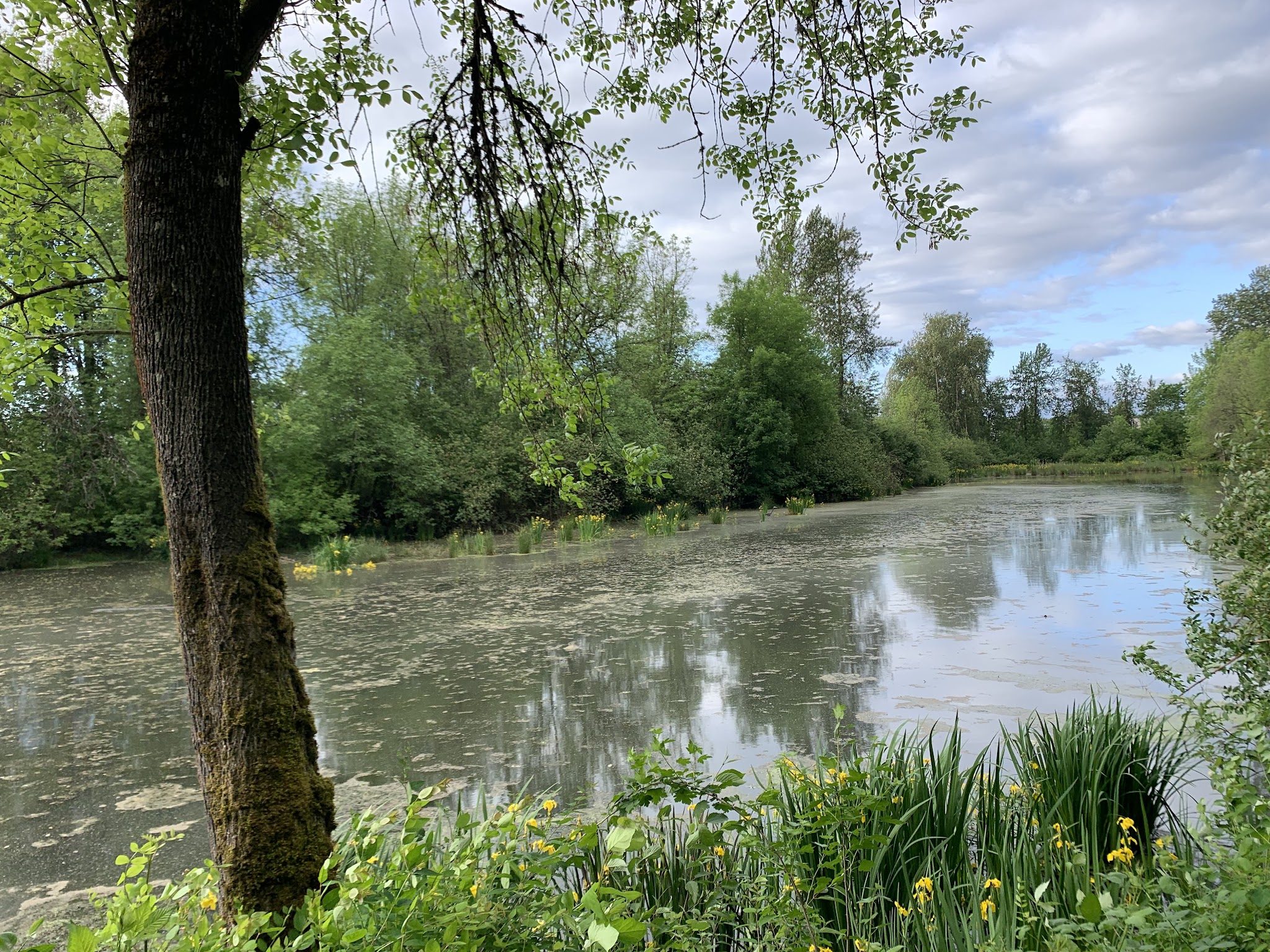 Smith And Bybee Wetlands Natural Crup Campground