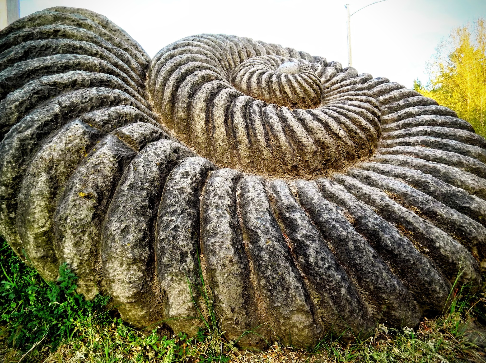 Smith And Bybee Wetlands Natural Crup Campground