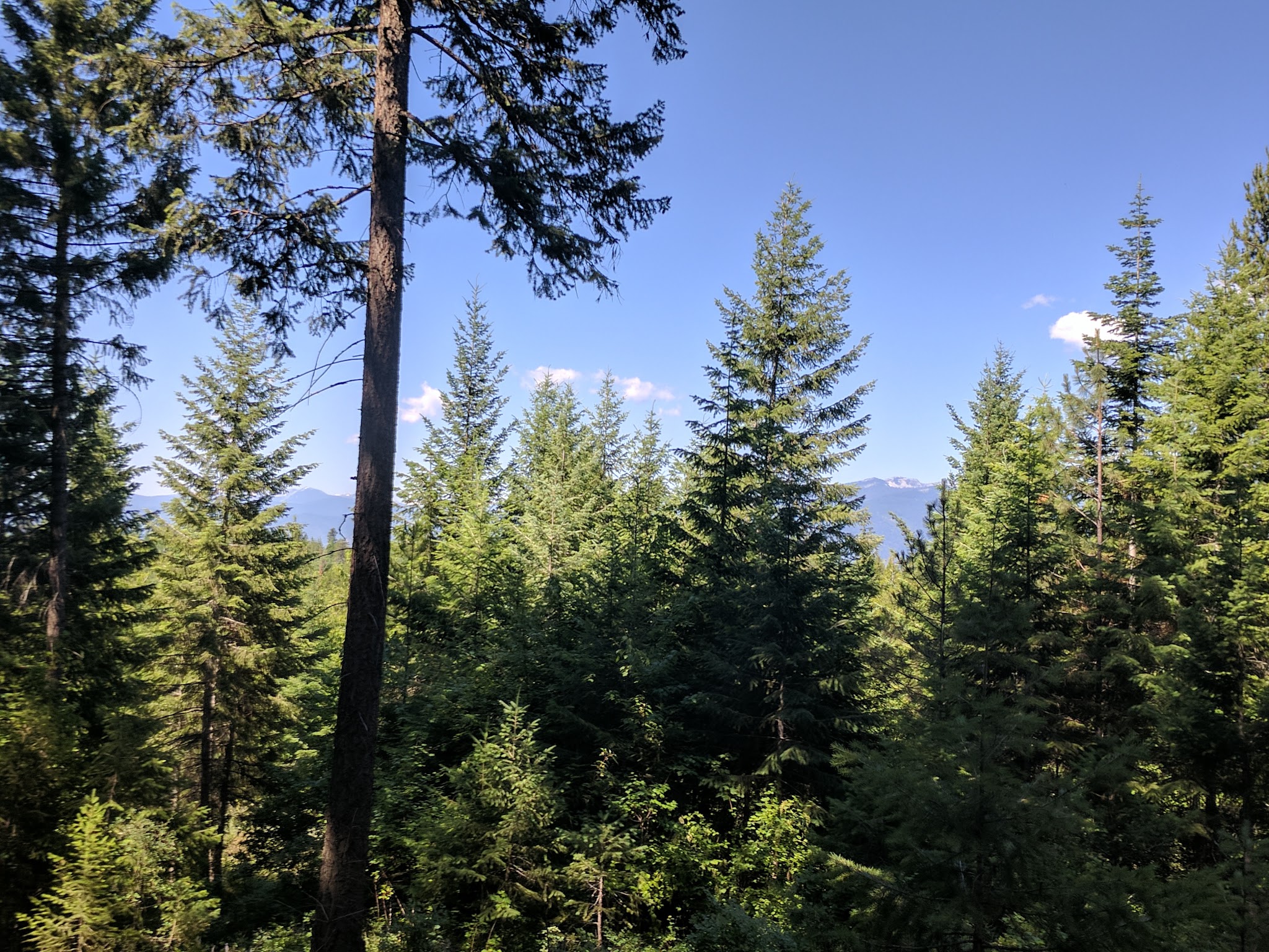 Smith Lake Campground