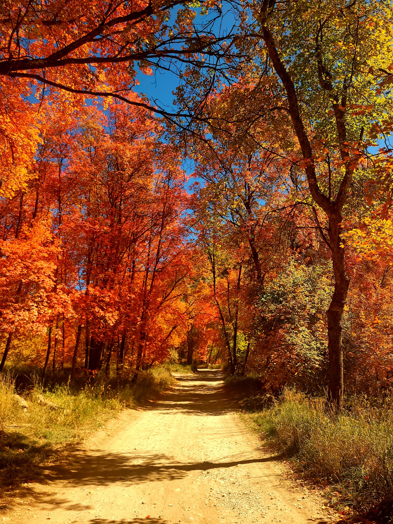 Smithfield Campground