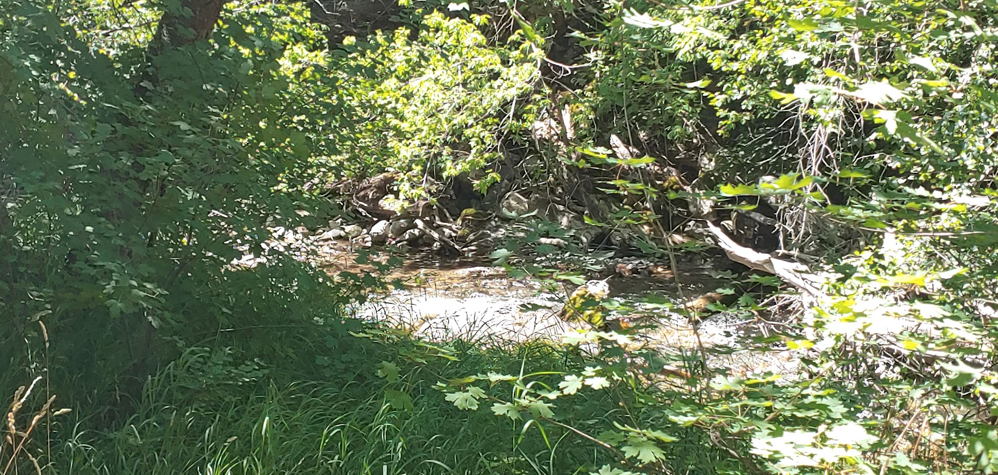 Smithfield Campground