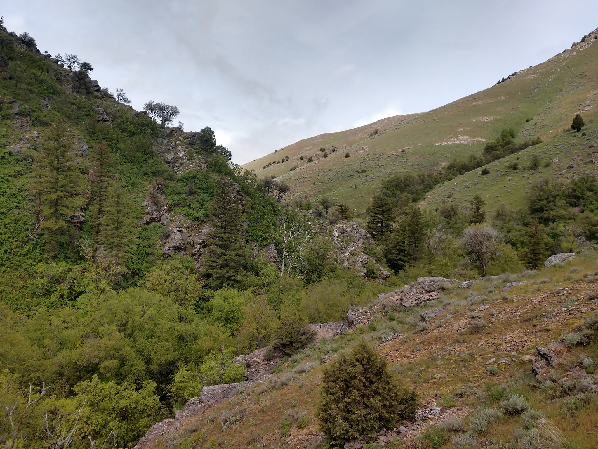 Smithfield Campground