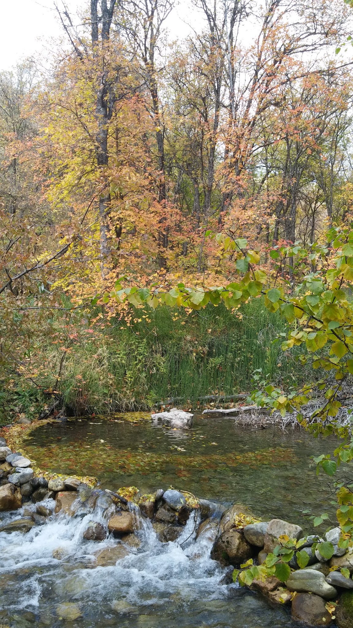 Smithfield Campground