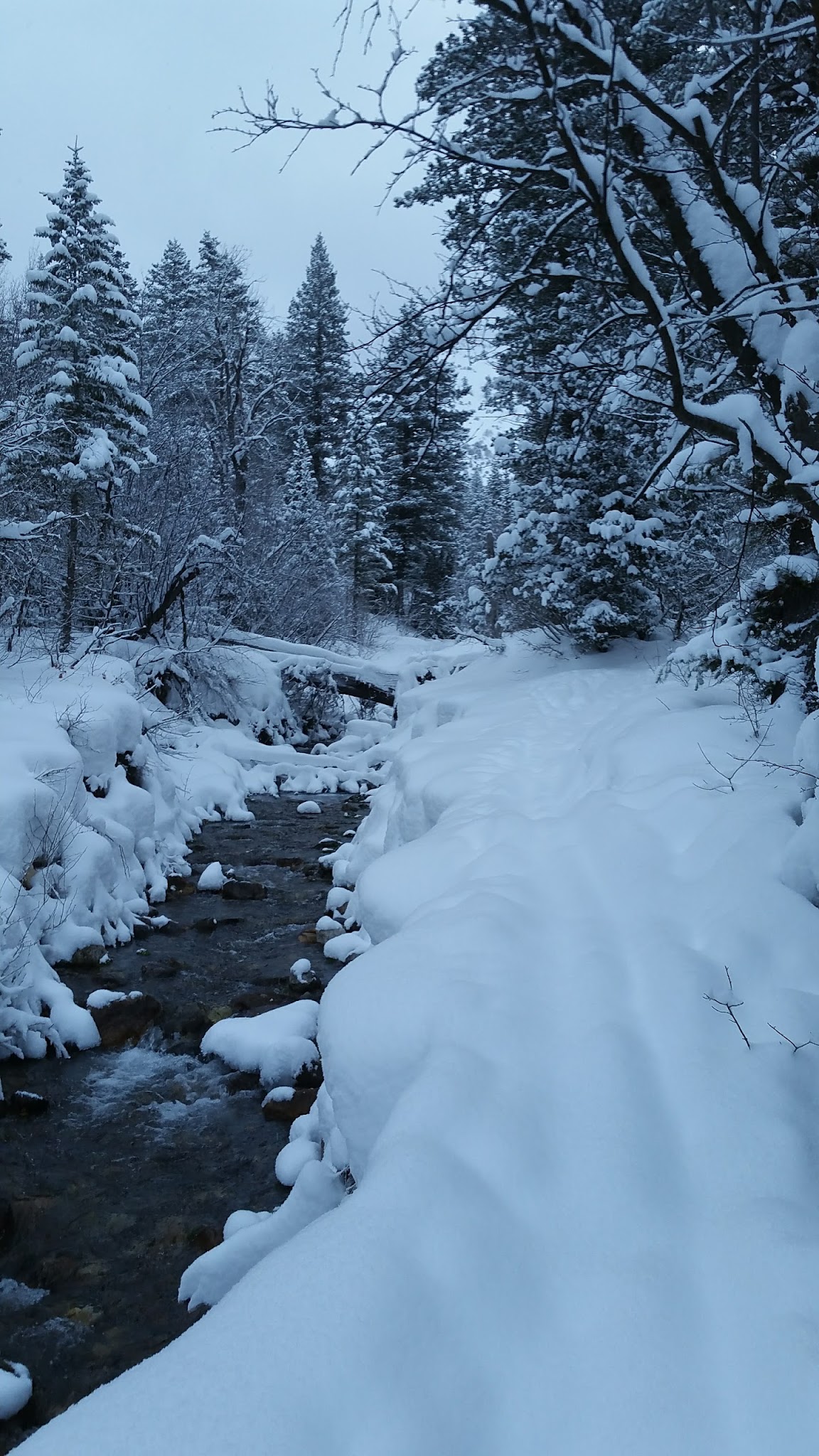 Smithfield Campground
