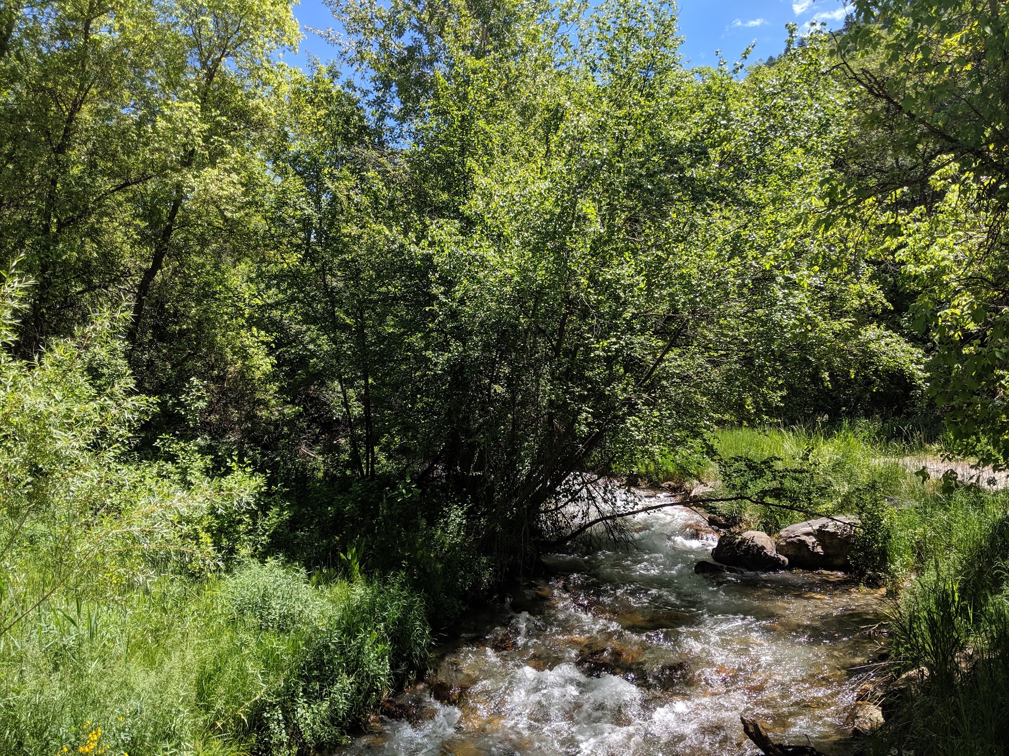 Smithfield Campground