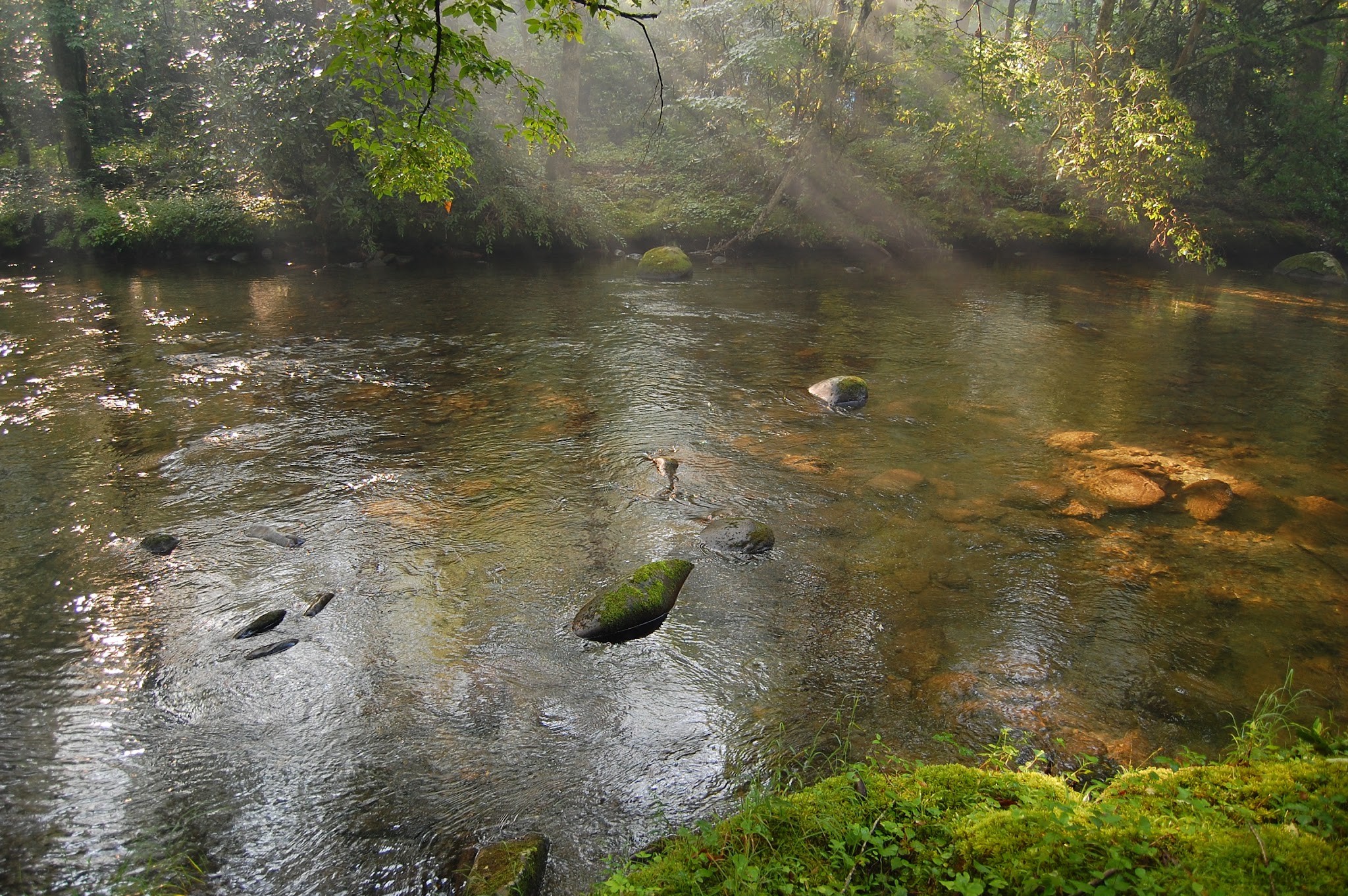 Smokemont Group Campground