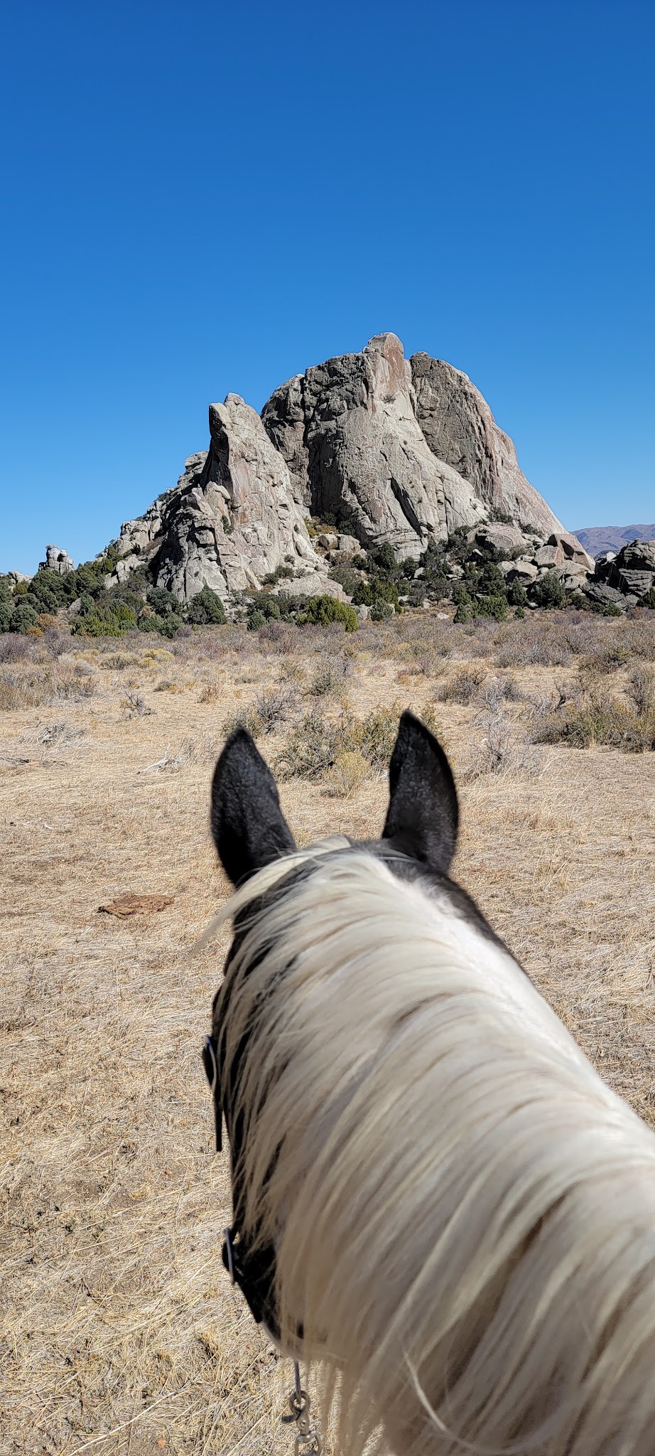 Castle Rocks State Park