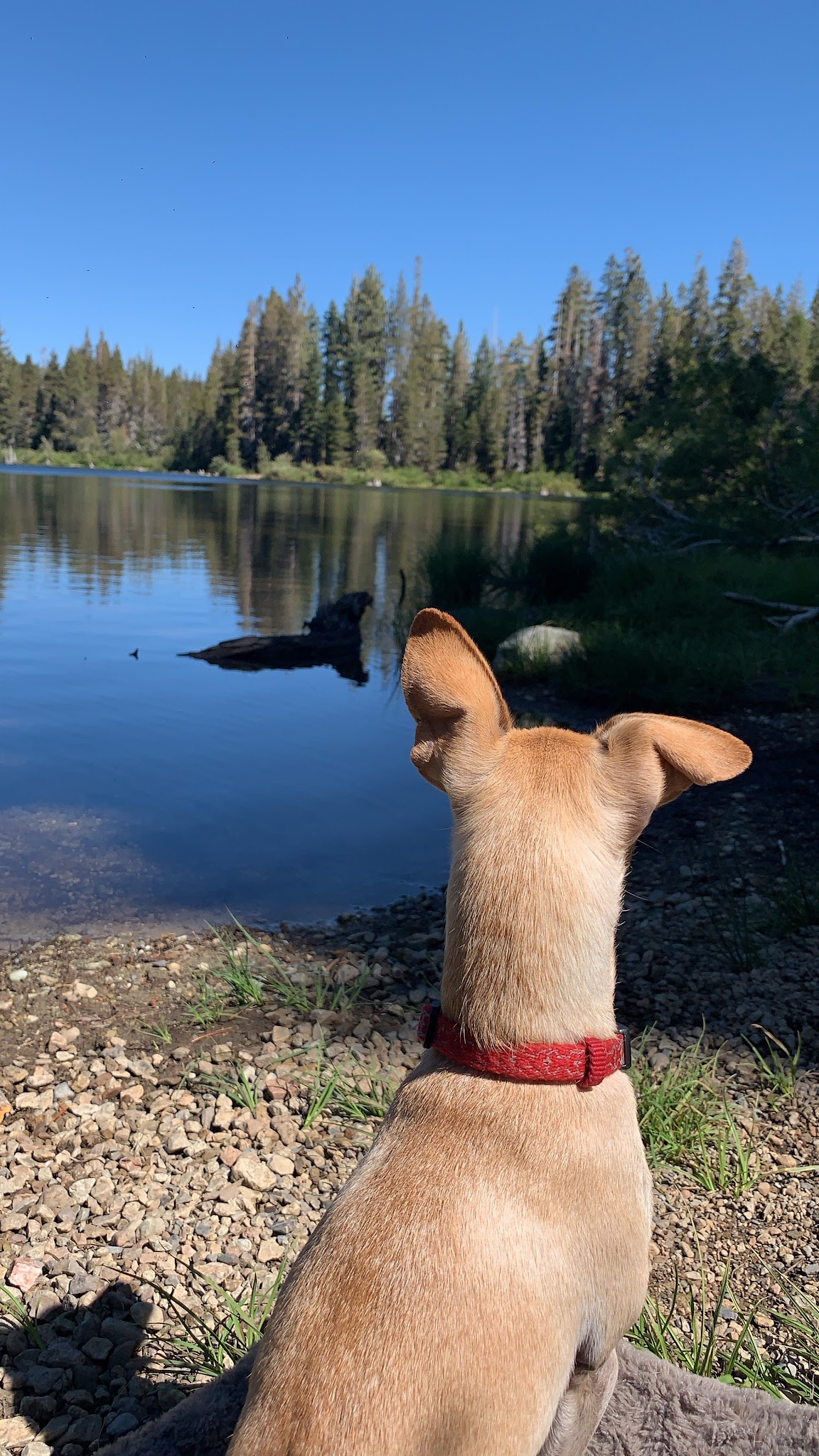 Snag Lake Campground