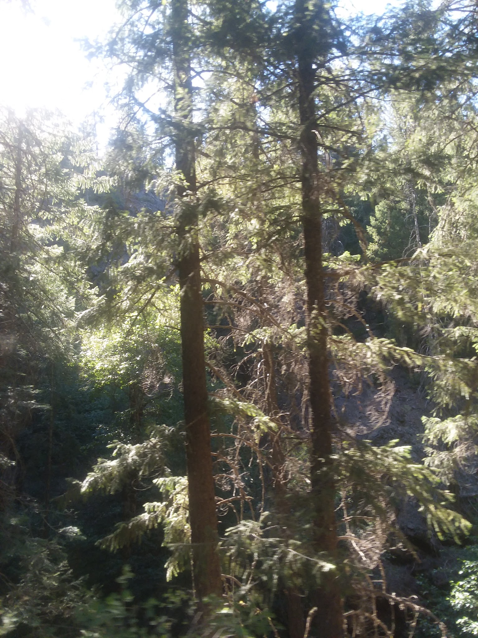 Snake Lake Campground And Equestrian Camp