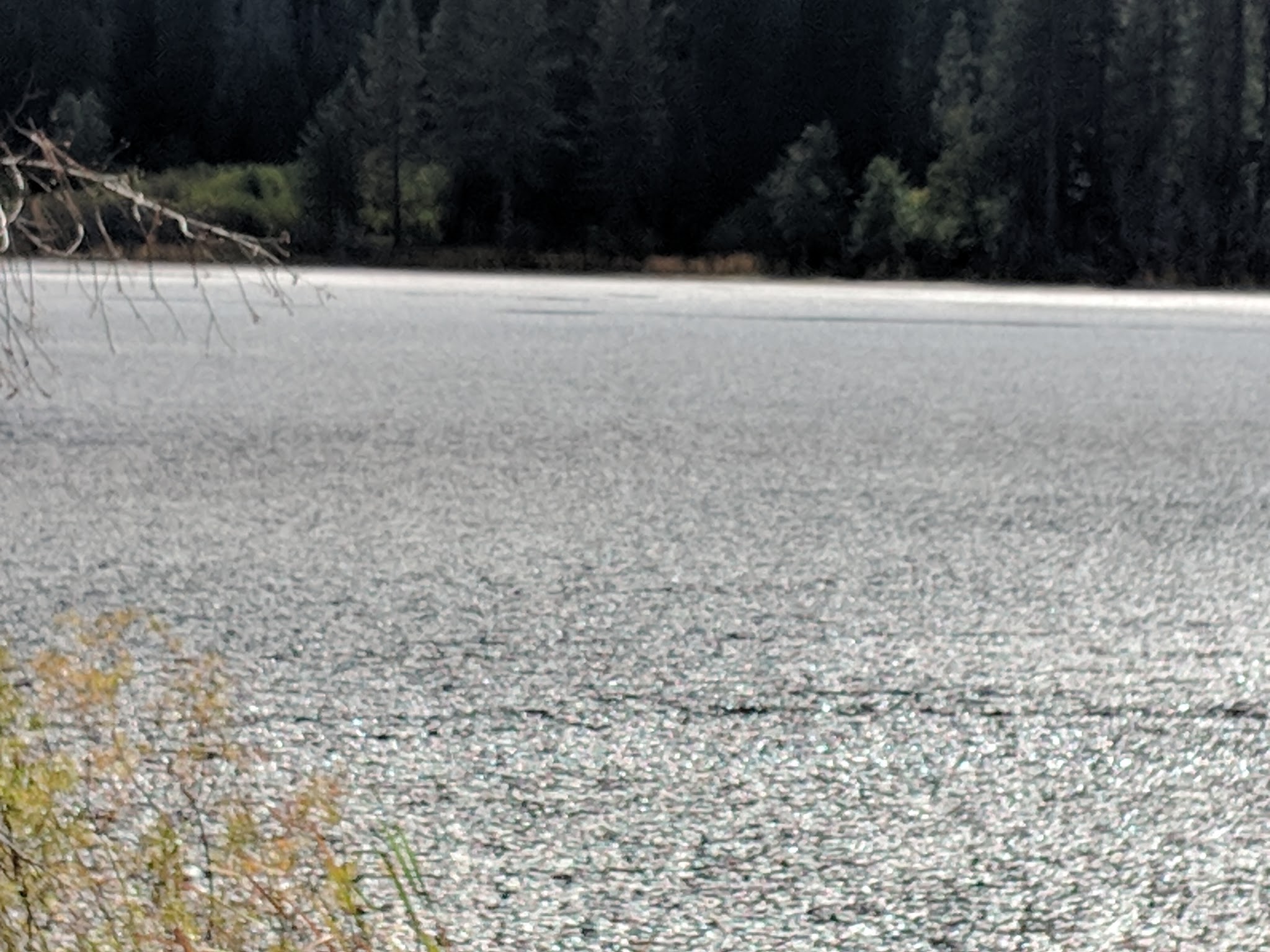 Snake Lake Campground And Equestrian Camp