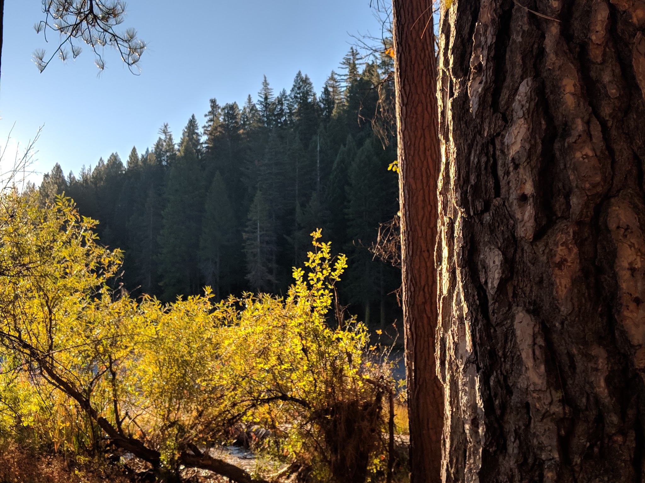 Snake Lake Campground And Equestrian Camp