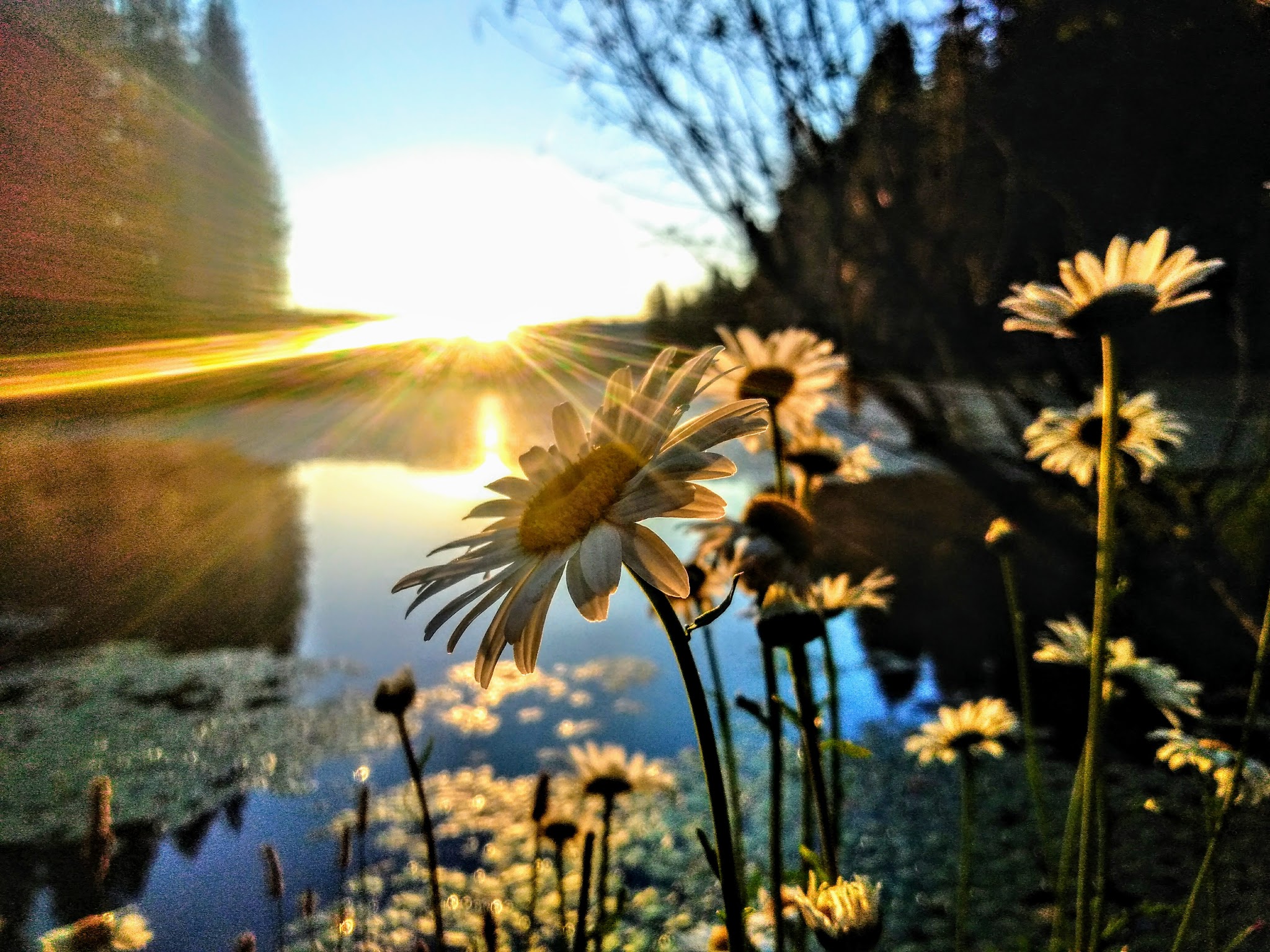 Snake Lake Campground And Equestrian Camp
