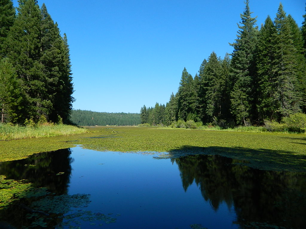 Snake Lake Campground And Equestrian Camp