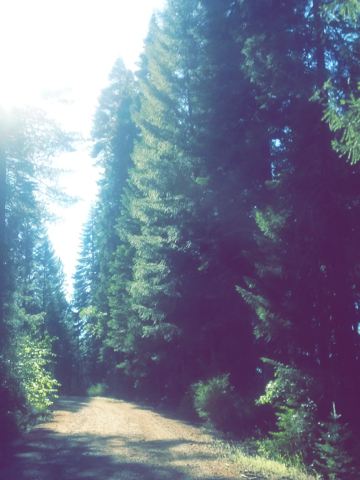 Snake Lake Campground And Equestrian Camp