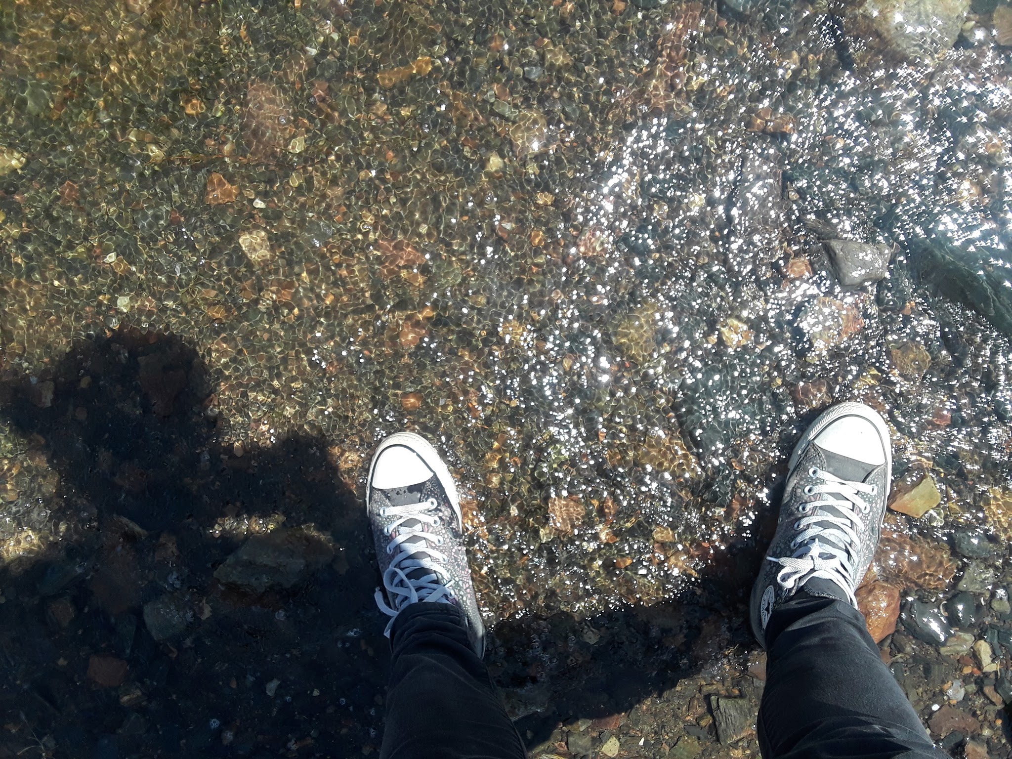 Stine Cove Fishing Site